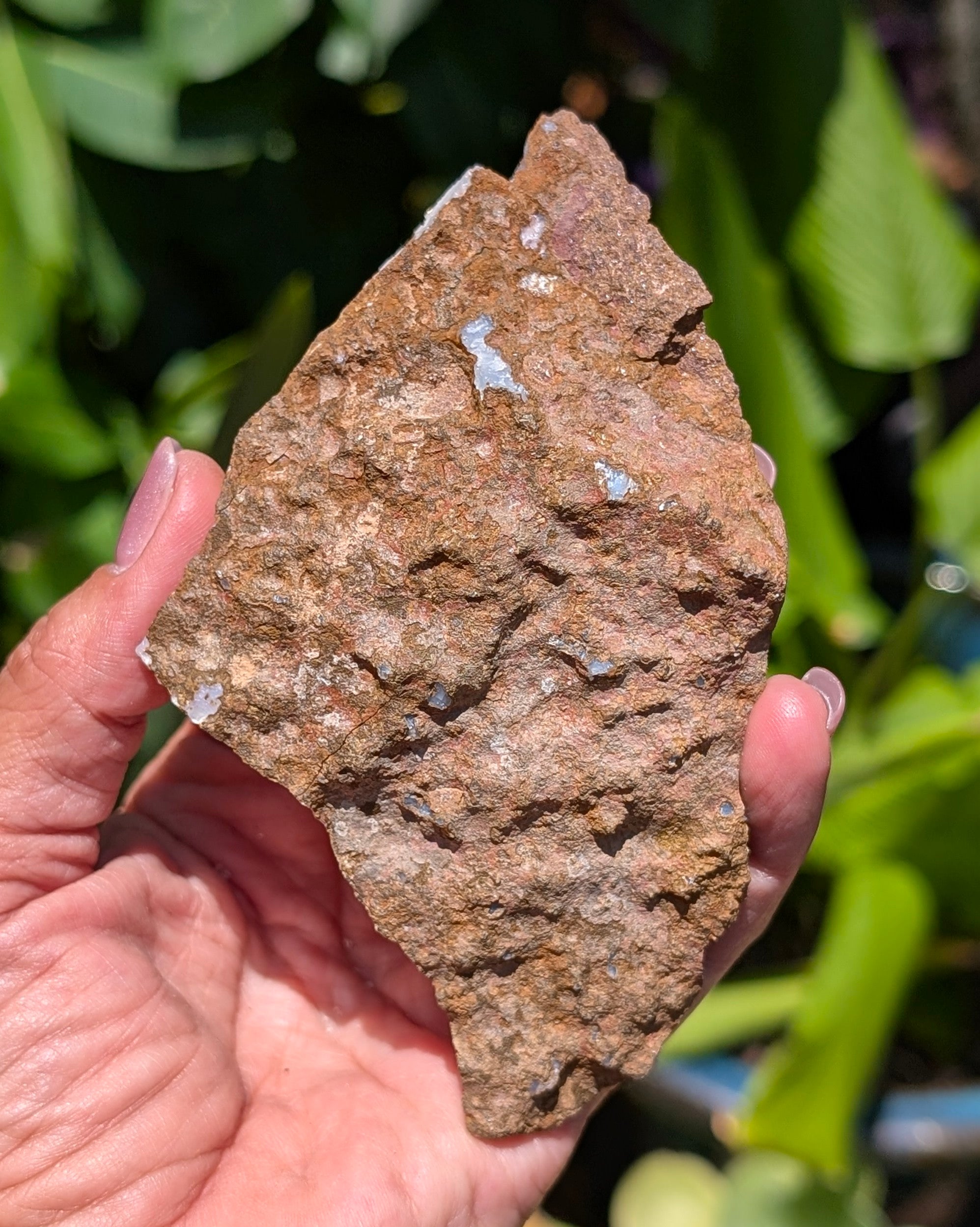 Citrine Cluster D