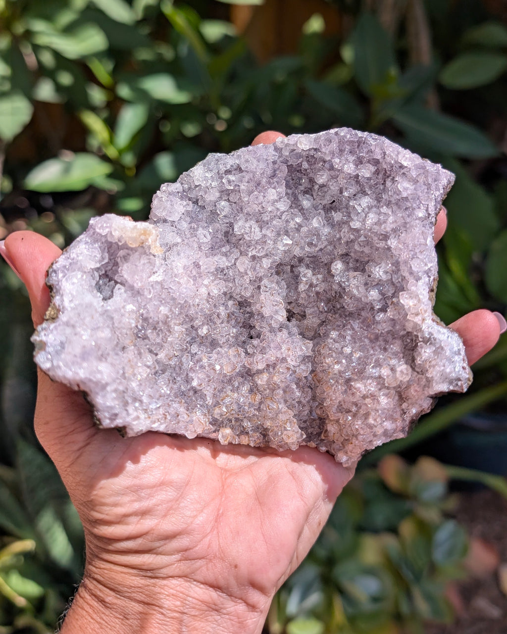 Amethyst Druzy Tarazout Cluster B