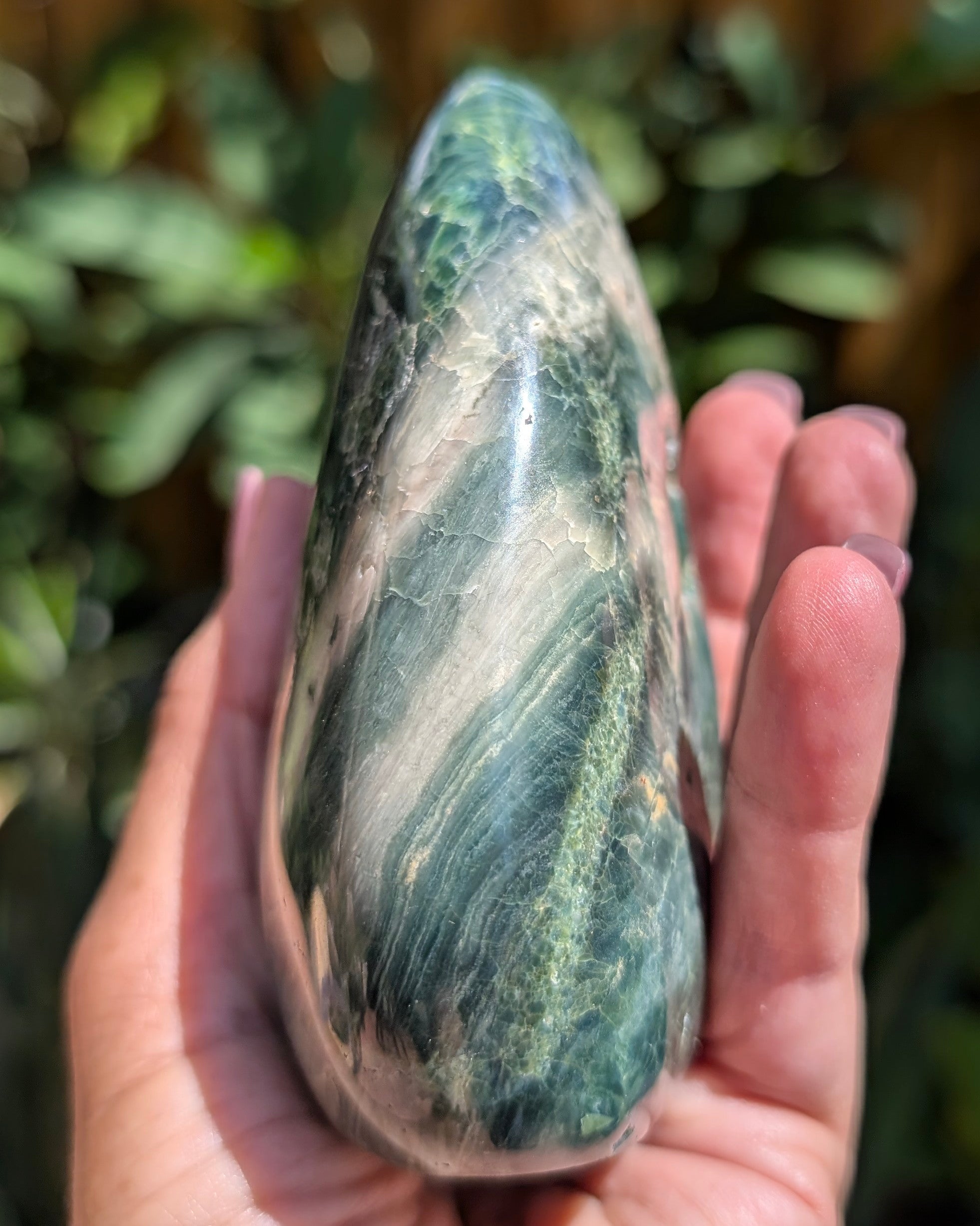 Ocean Jasper E