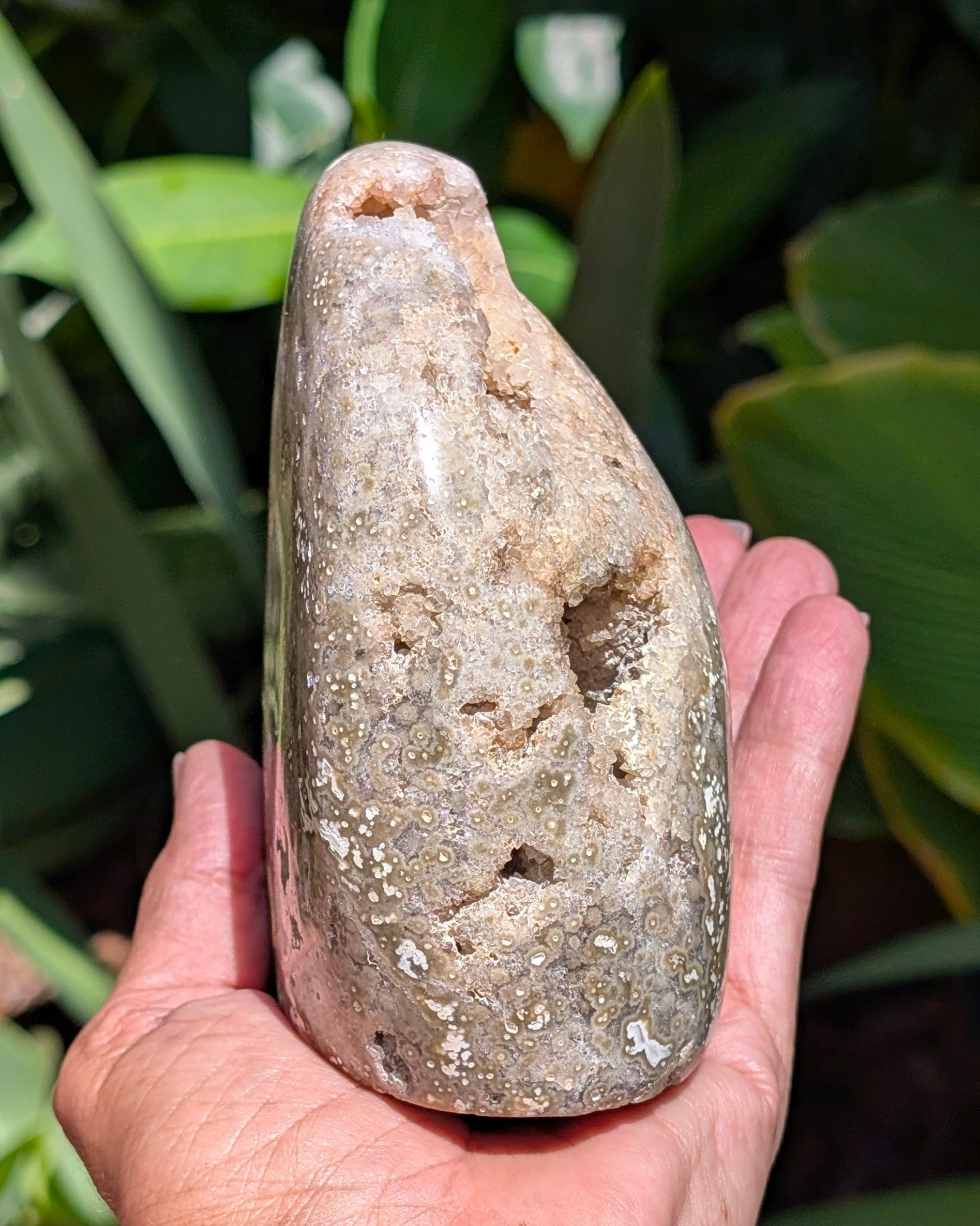 Ocean Jasper A