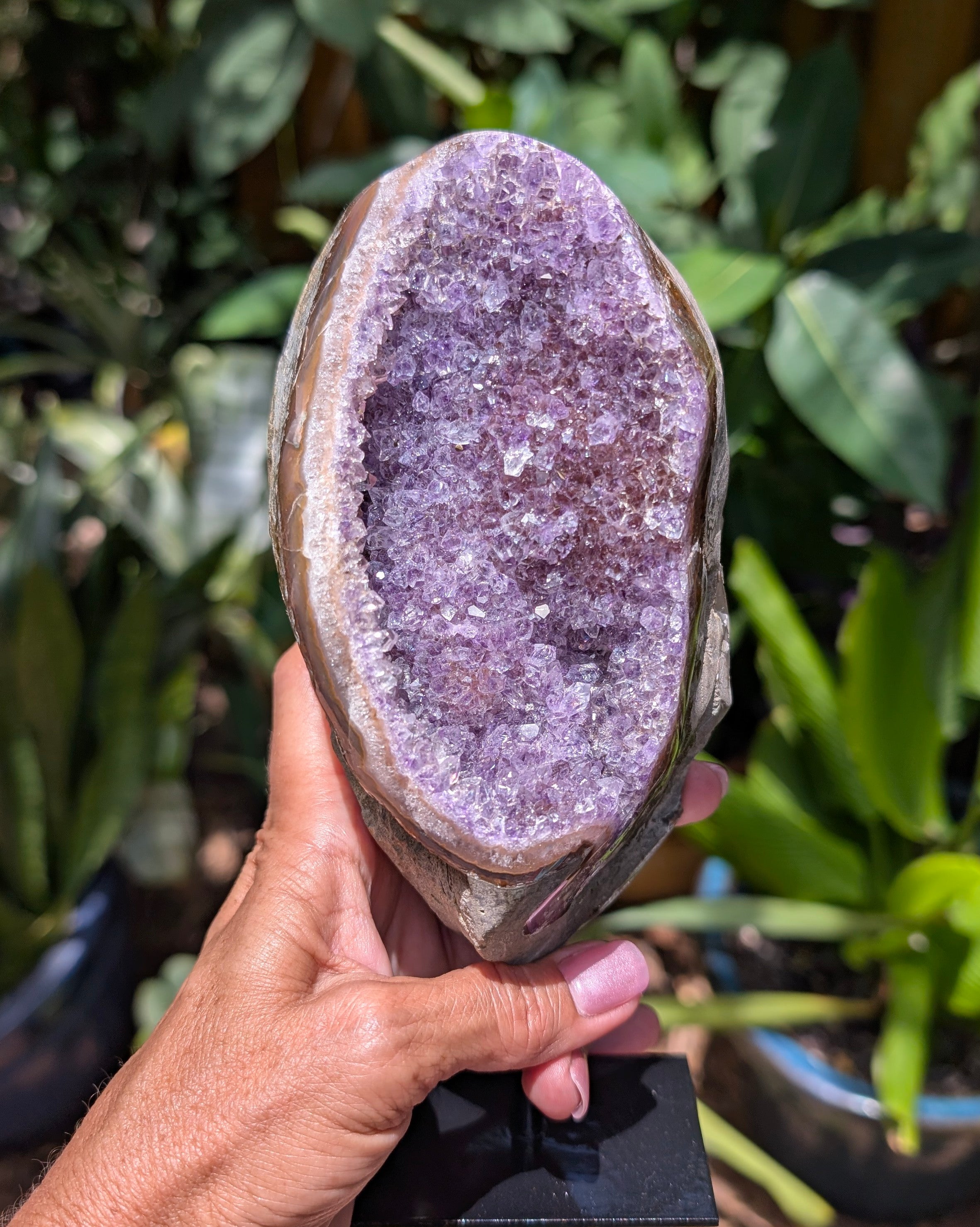 Amethyst Druzy Cluster on stand A