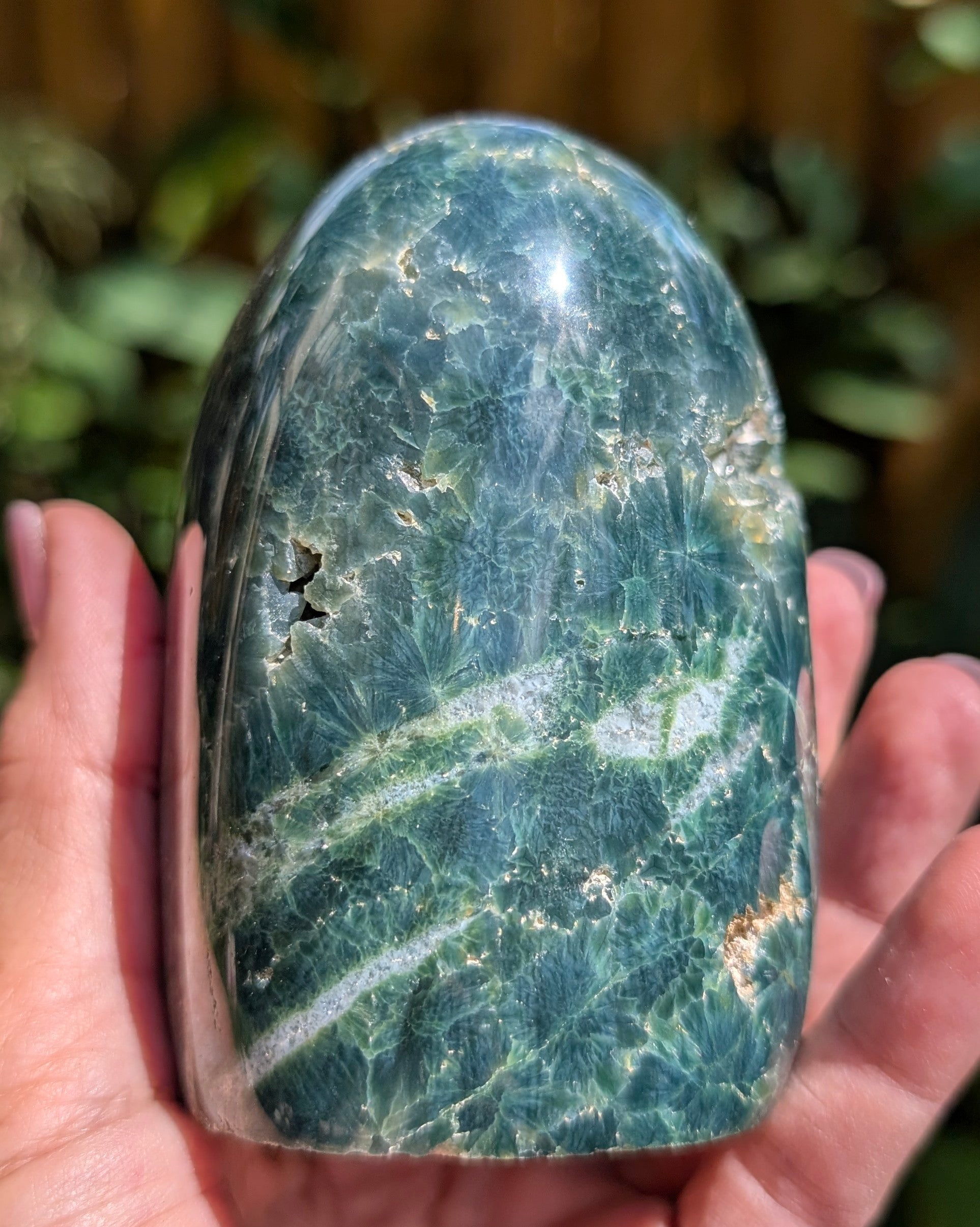 Ocean Jasper D