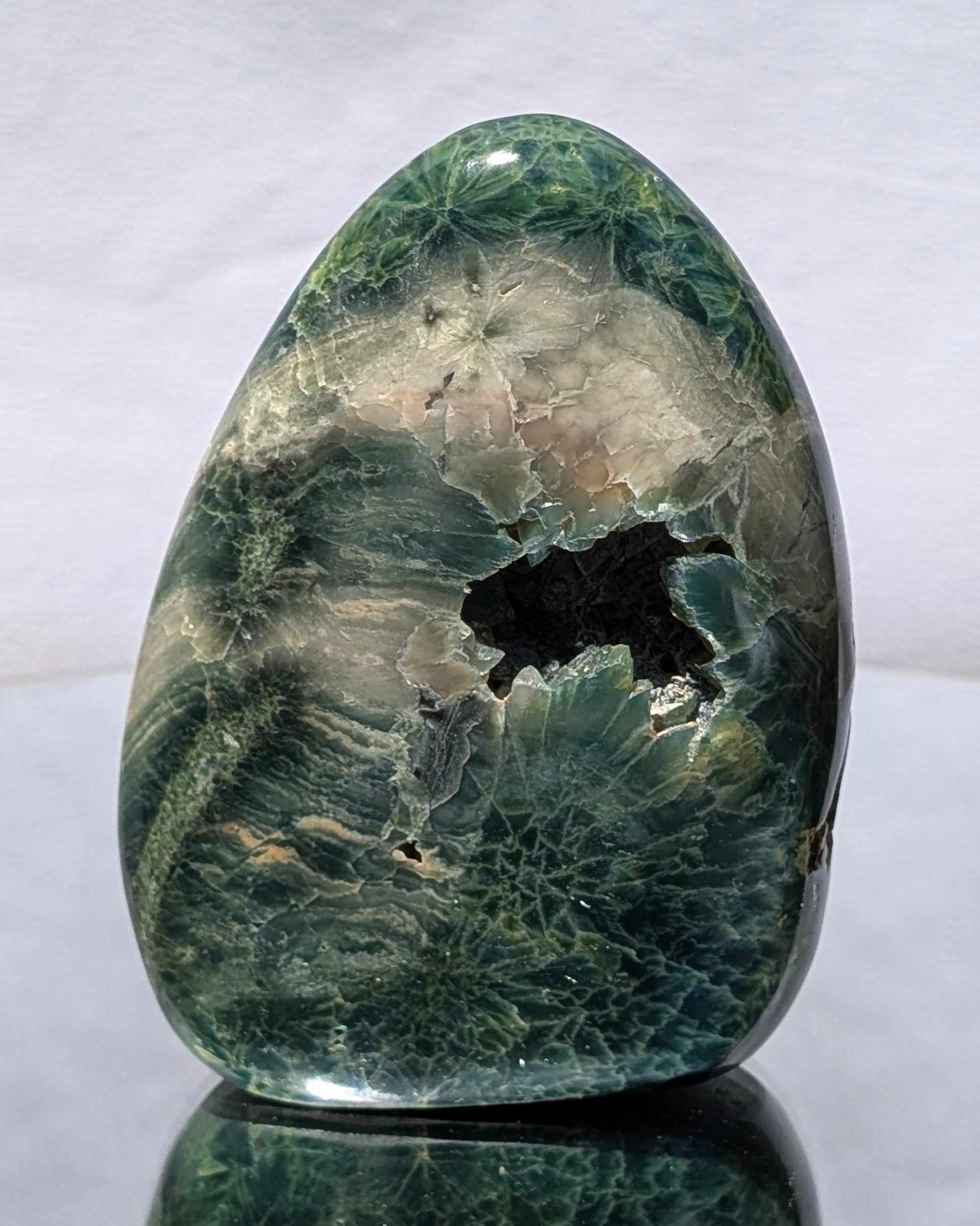 Ocean Jasper E