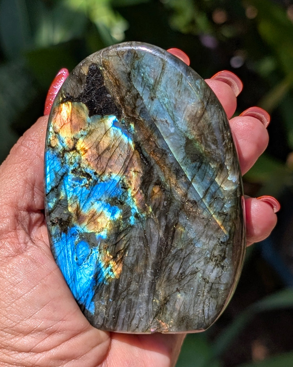 Spectrolite Labradorite Freeform - Opt. G