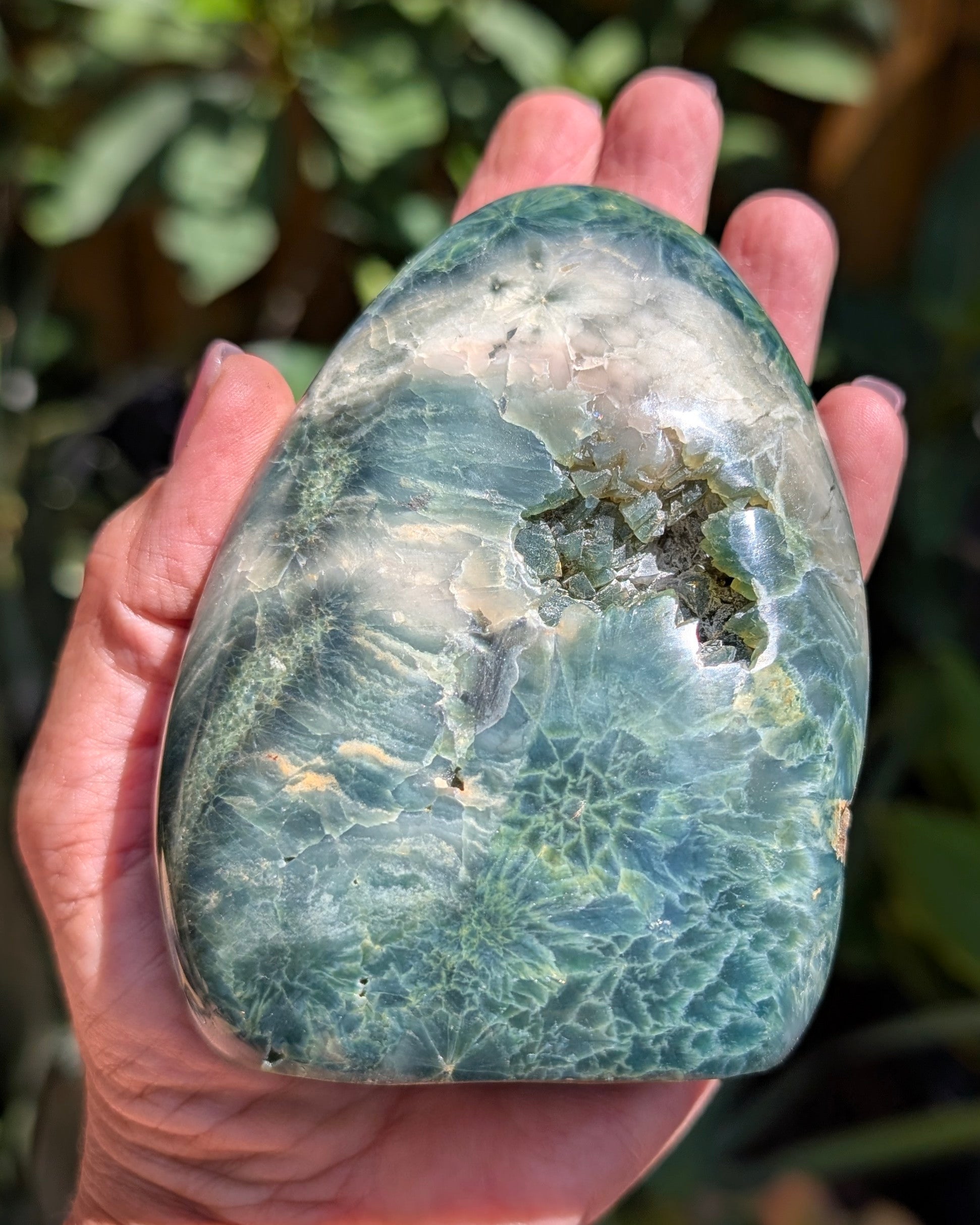 Ocean Jasper E