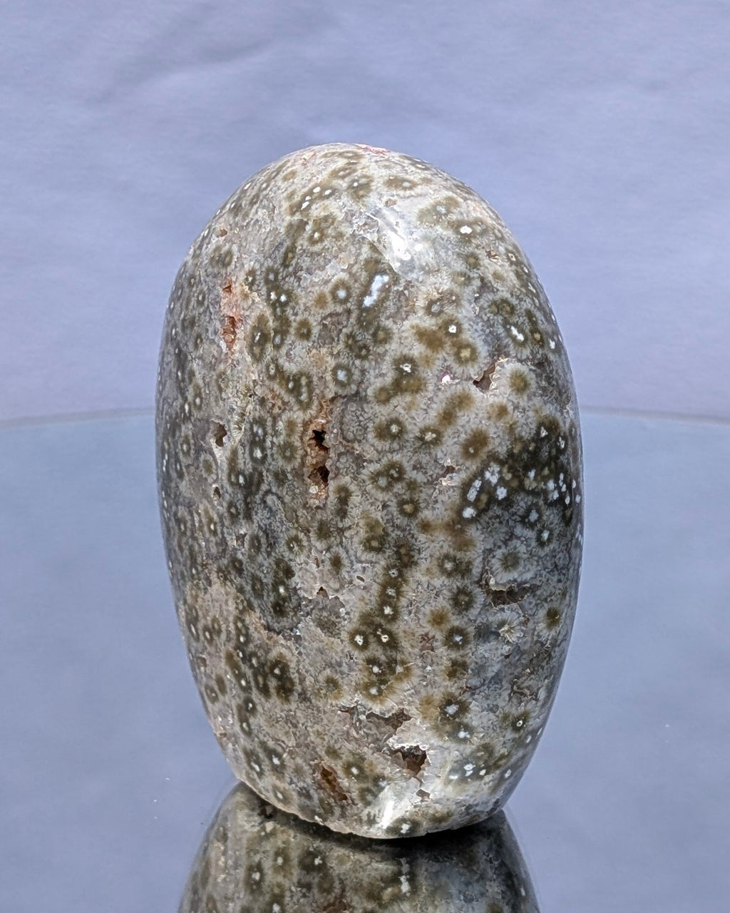 Ocean Jasper C