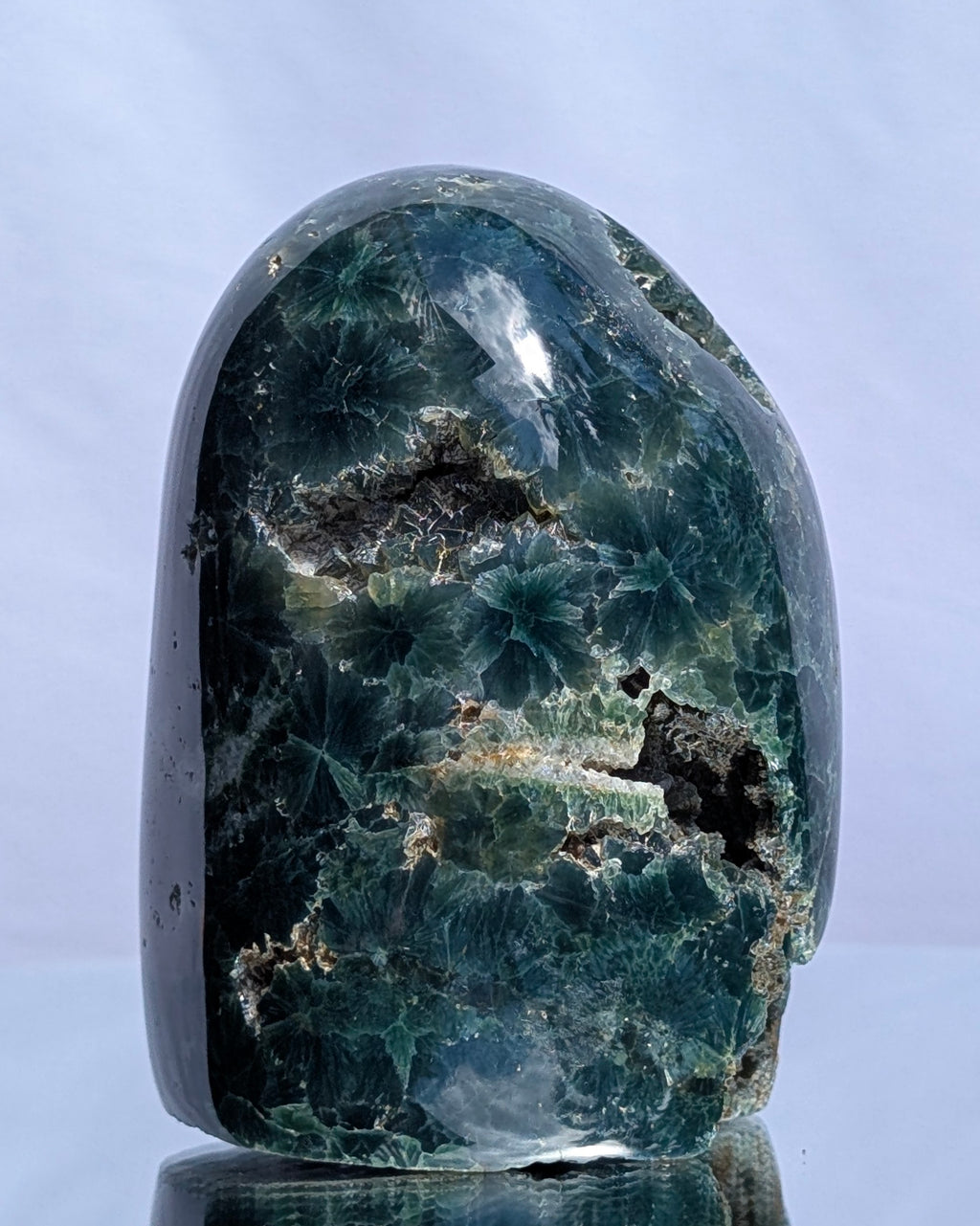 Ocean Jasper D