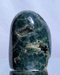 Ocean Jasper D