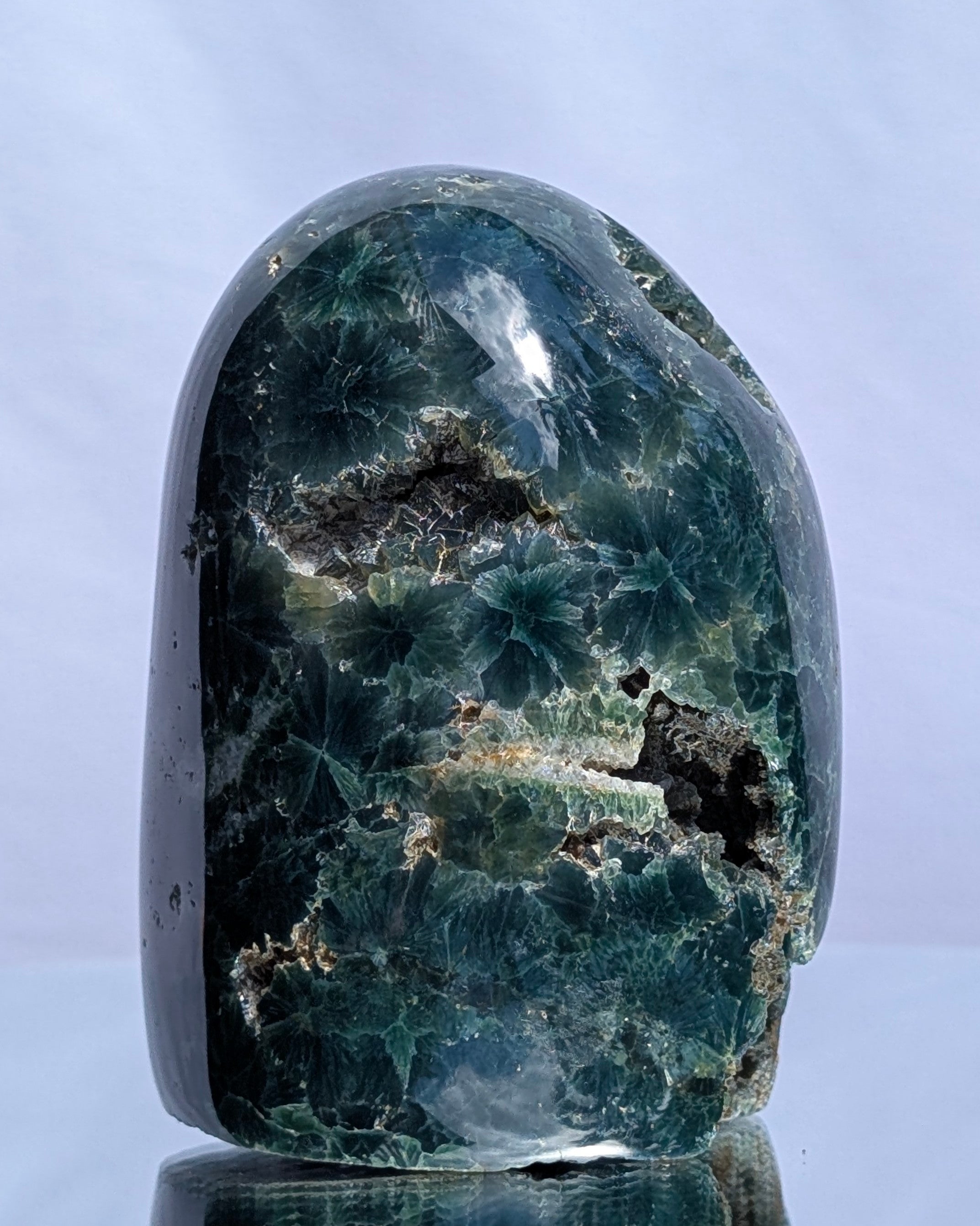 Ocean Jasper D