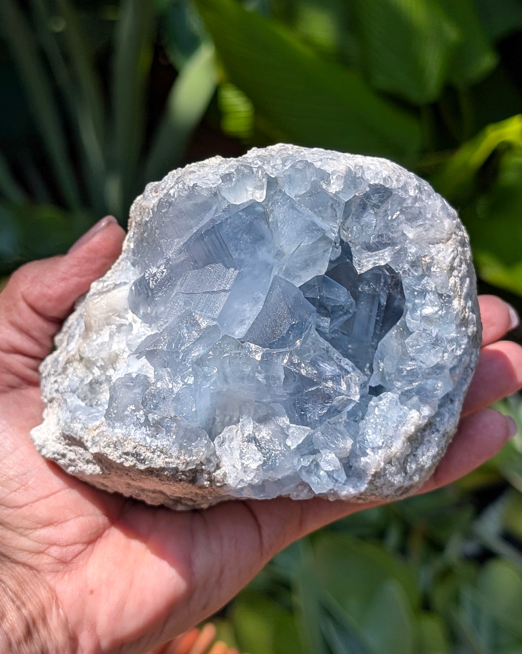 Celestite F
