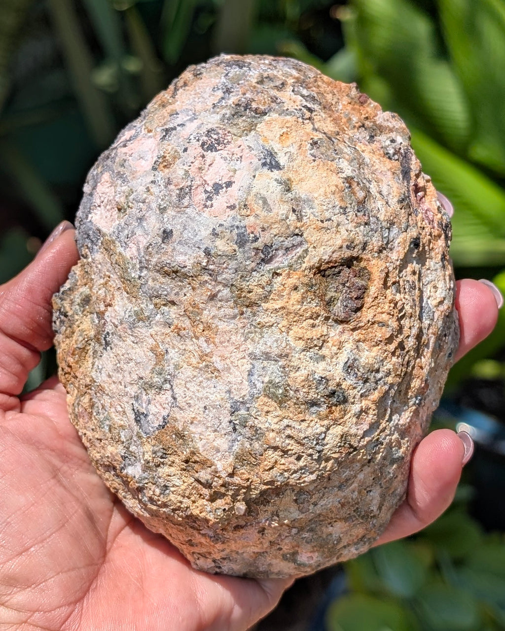 Fluorescent Trancas Geode with Helicites and Chalcedony F