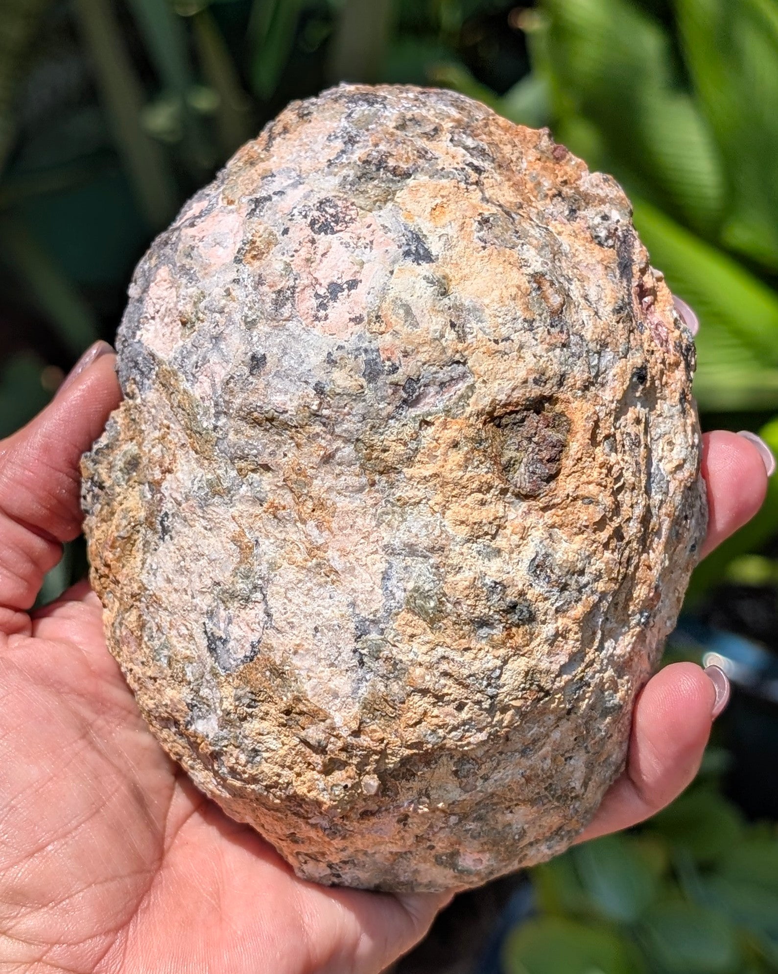Fluorescent Trancas Geode with Helicites and Chalcedony F