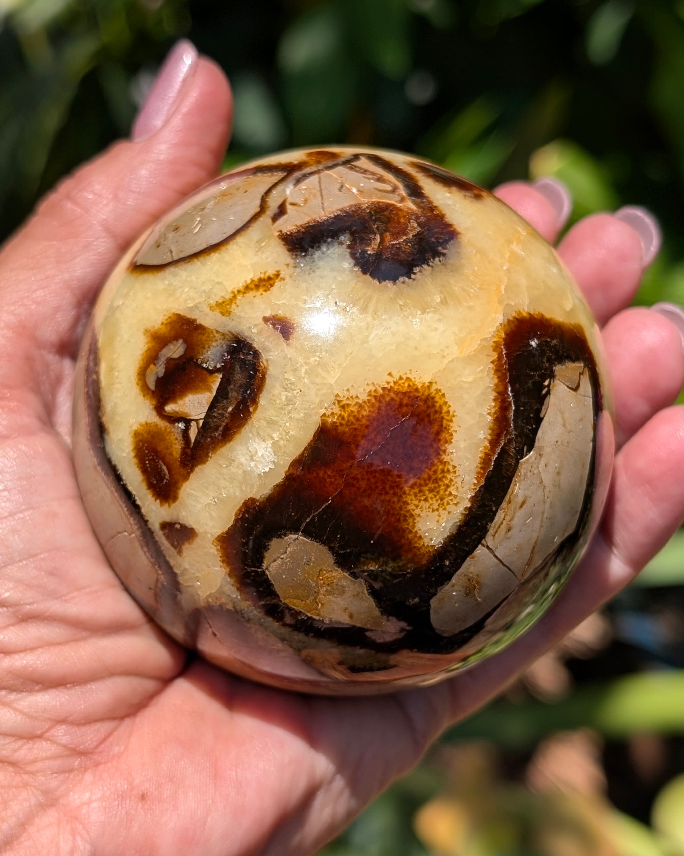 Septarian Dragon Stone Sphere A