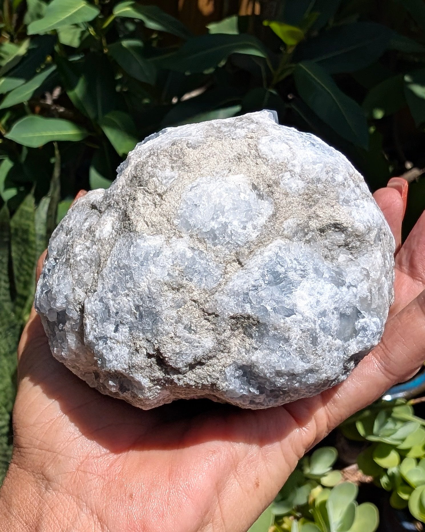 Heavenly Blue Celestite Geode - Opt. I