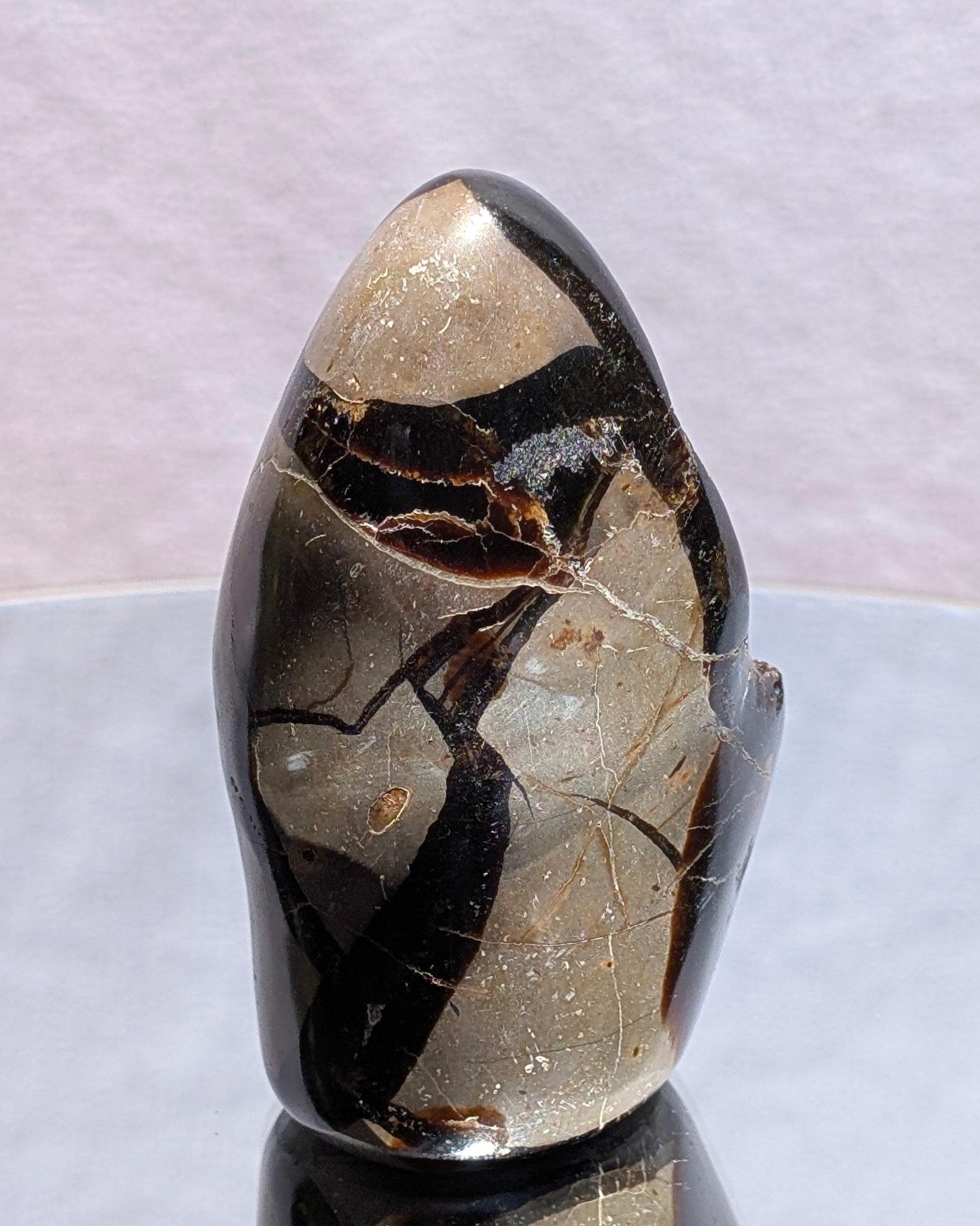 Septarian Dragon Egg E