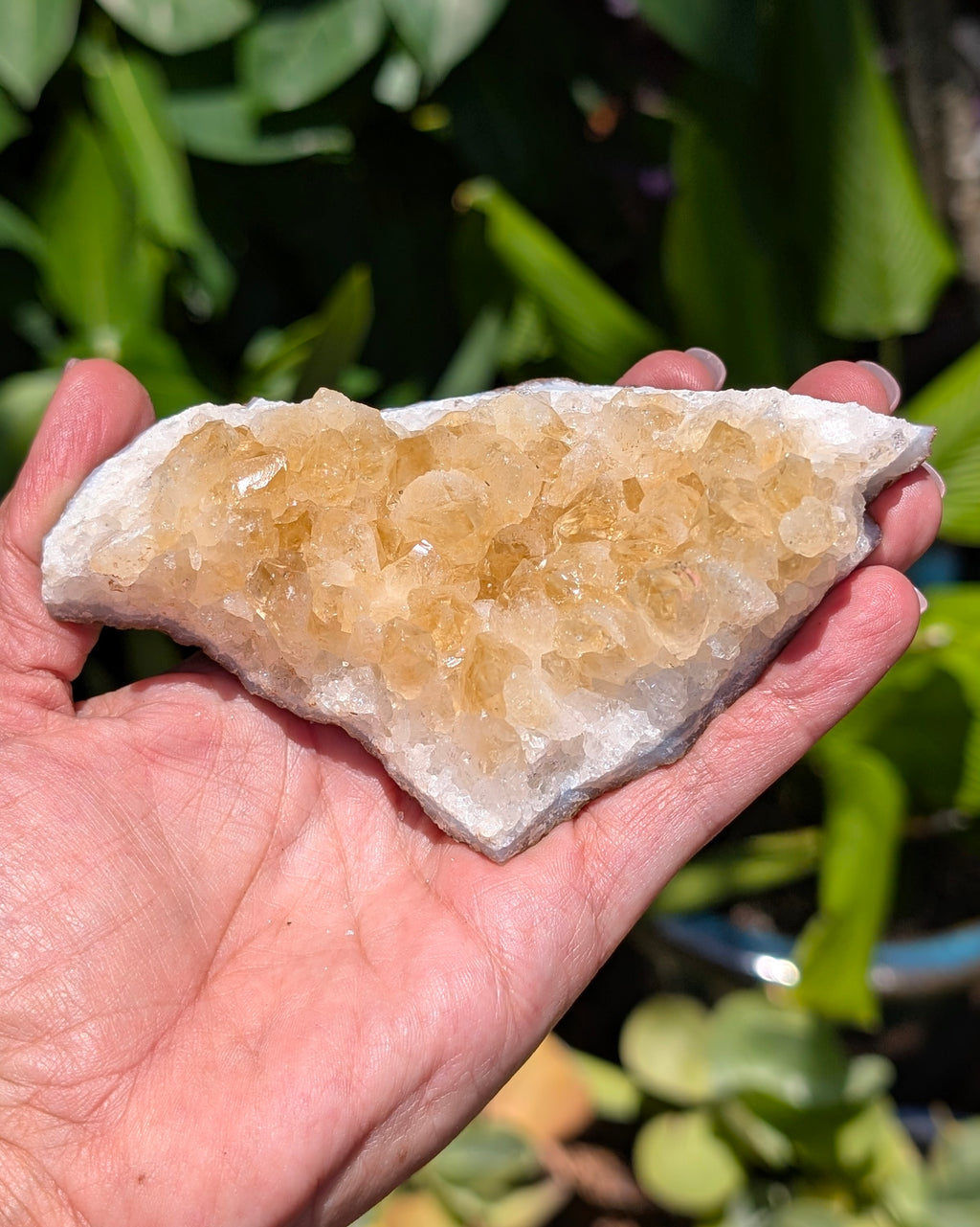 Citrine Cluster D
