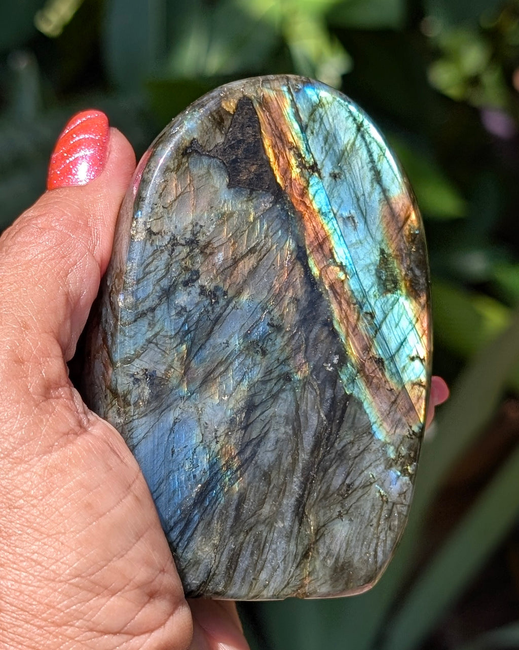Spectrolite Labradorite Freeform - Opt. G