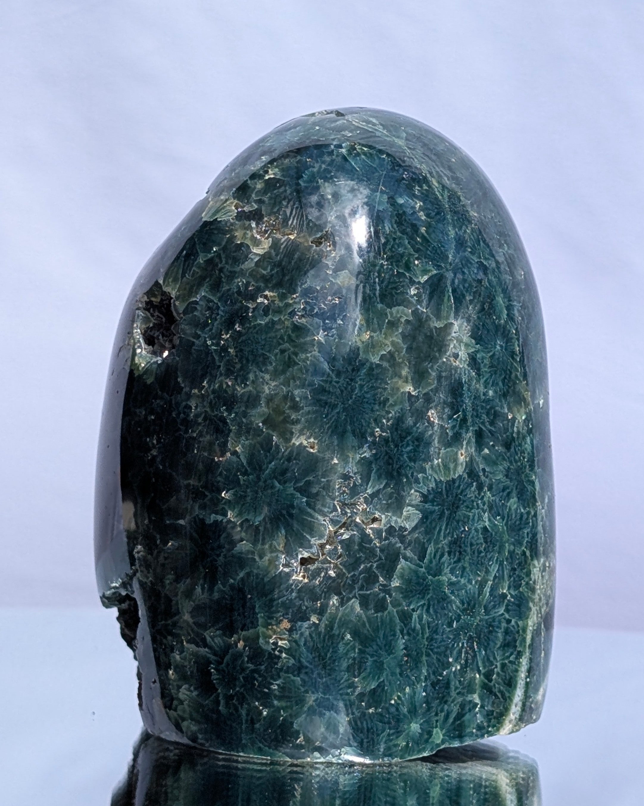 Ocean Jasper D