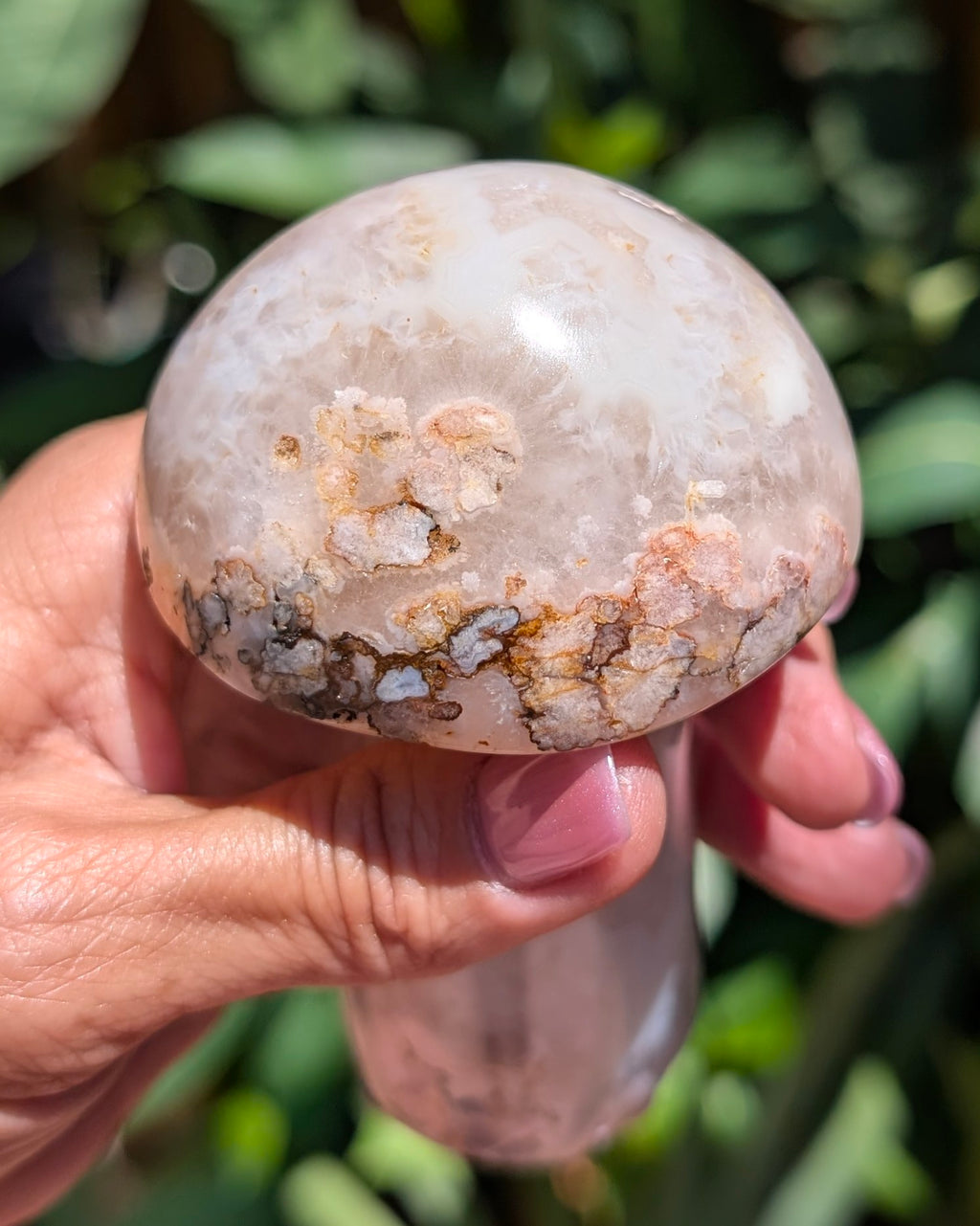 Flower Agate Mushroom F