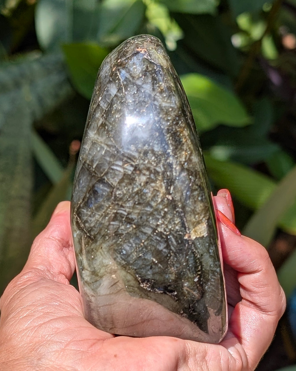 Flashy Blue Labradorite Freeform - Opt. D