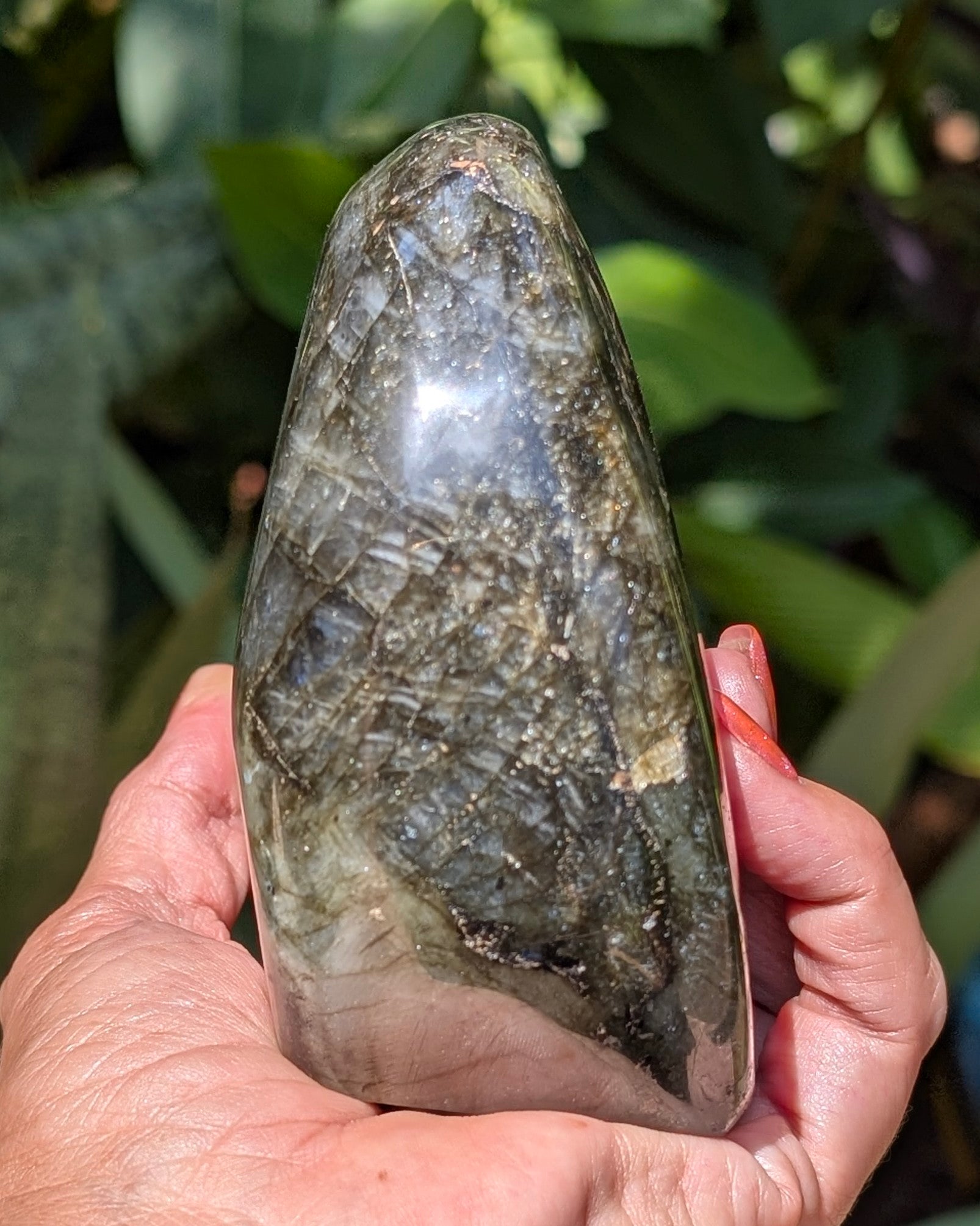 Flashy Blue Labradorite Freeform - Opt. D