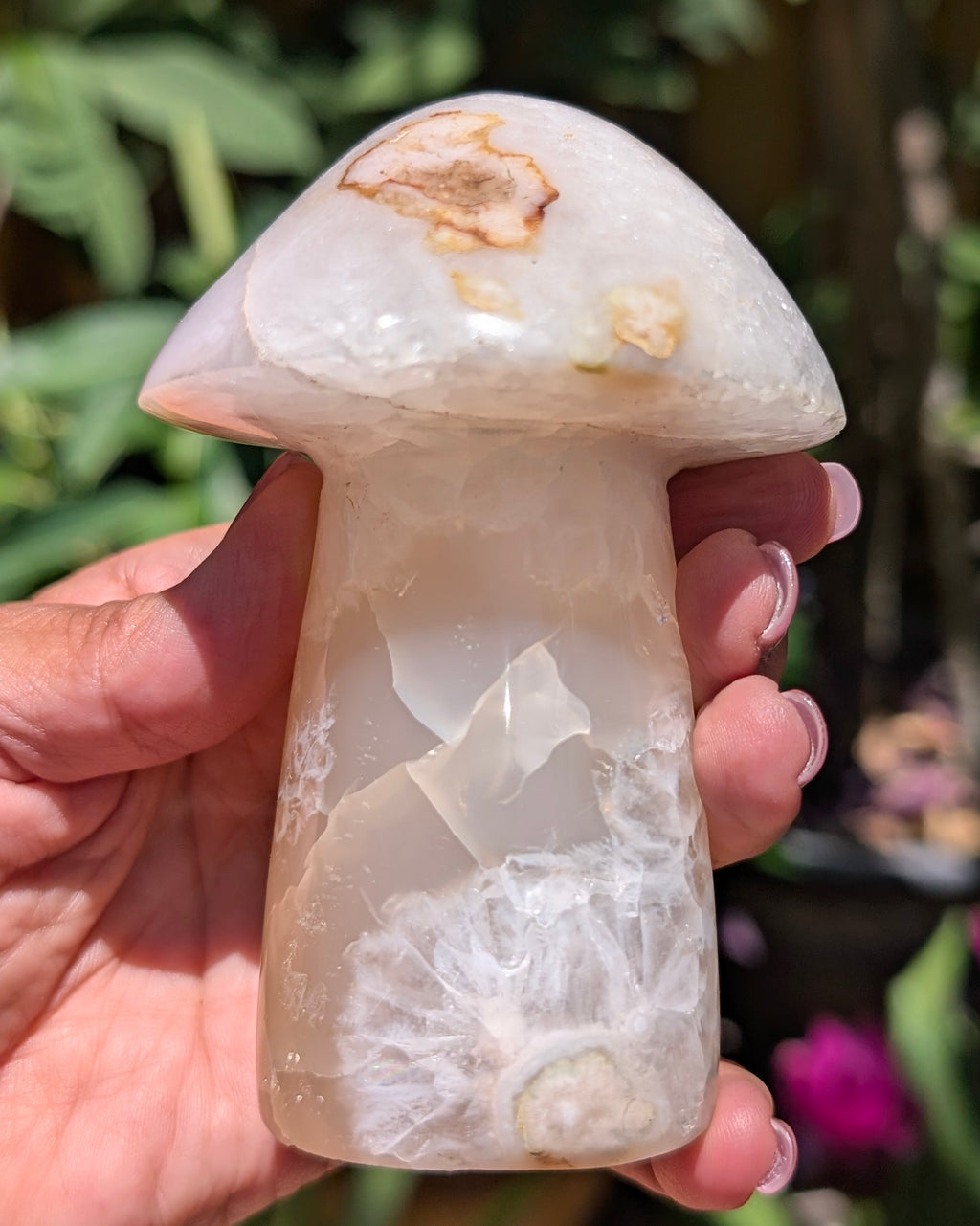 Flower Agate Mushroom E