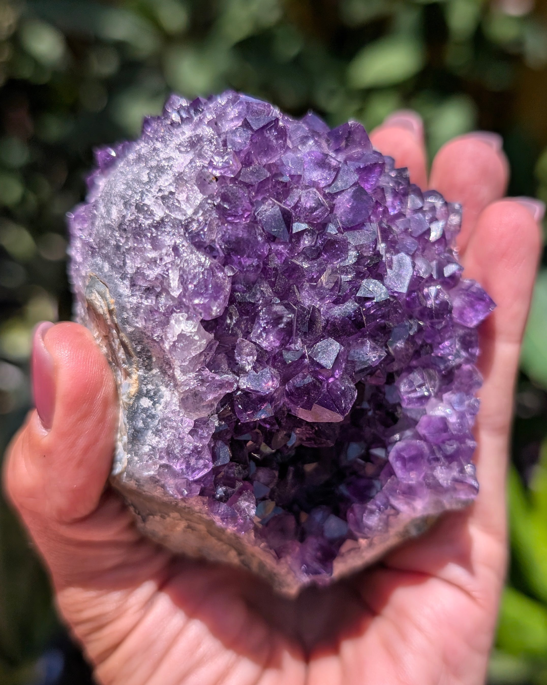 Amethyst Druzy Cluster F