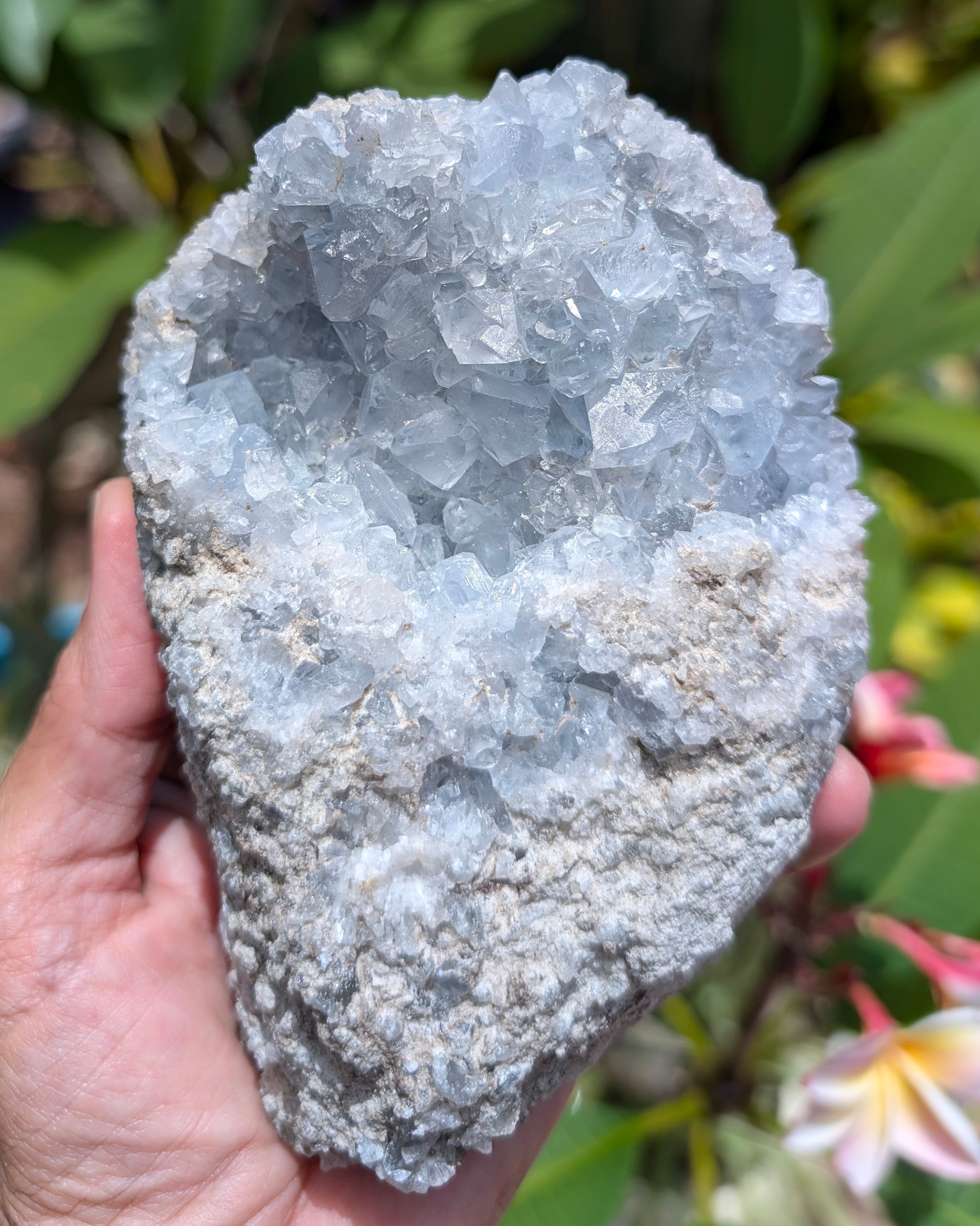 Celestite Cluster H