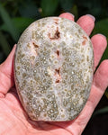 Ocean Jasper C