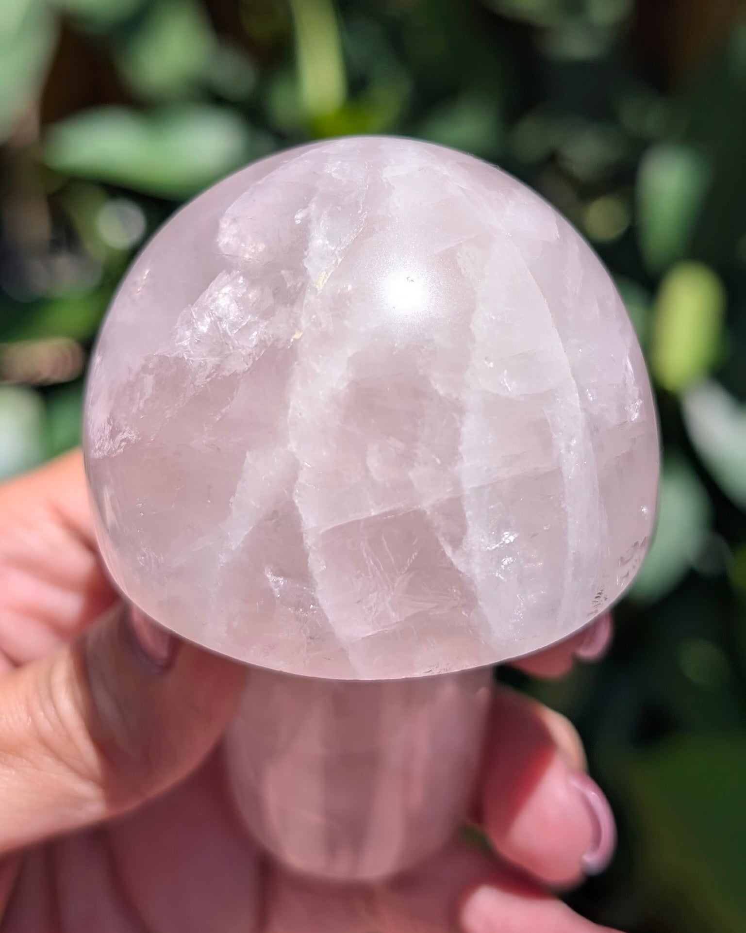 Rose Quartz Mushroom C