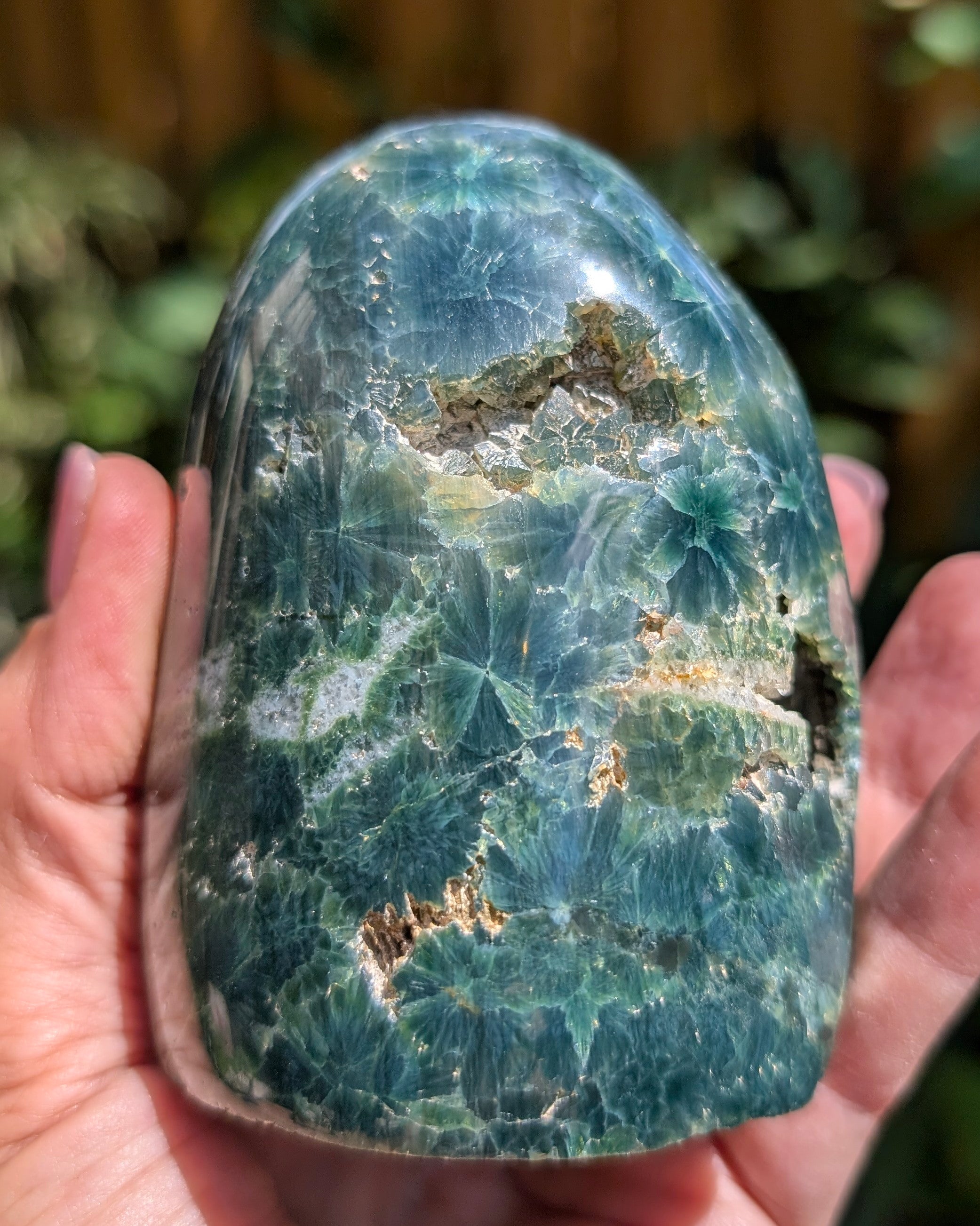 Ocean Jasper D