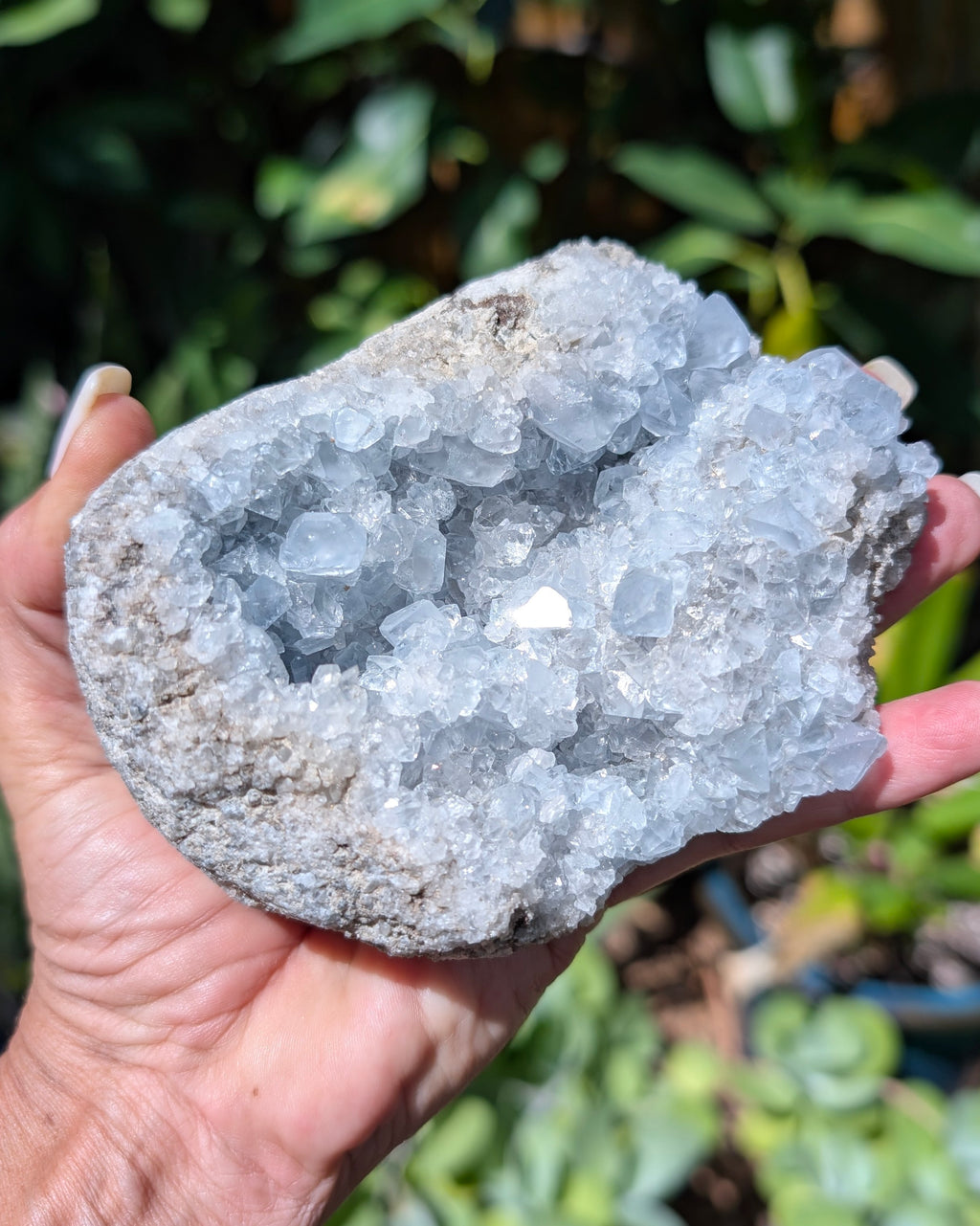 Celestine Cluster - Opt G