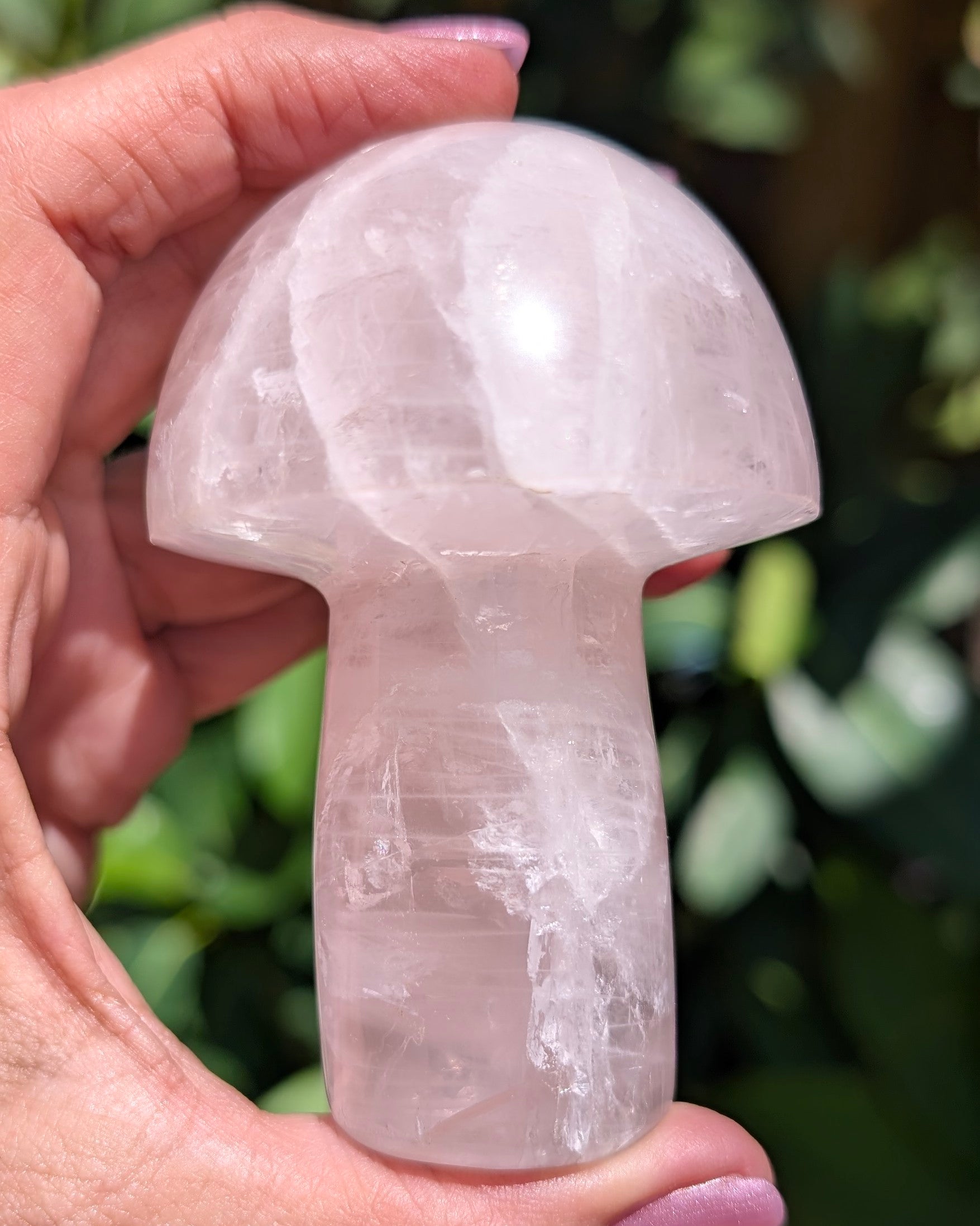 Rose Quartz Mushroom C