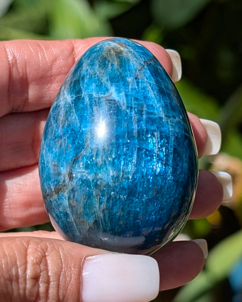 Apatite Egg - Opt. I