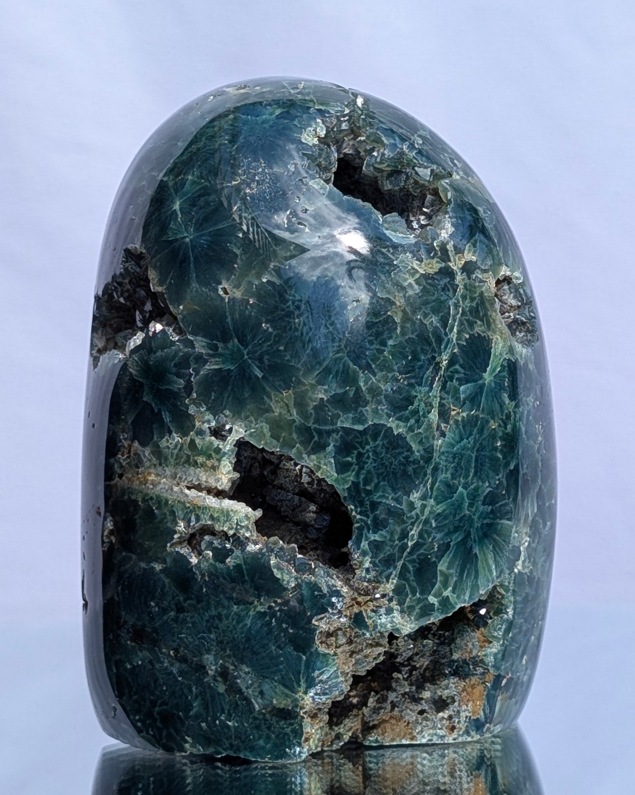 Ocean Jasper D