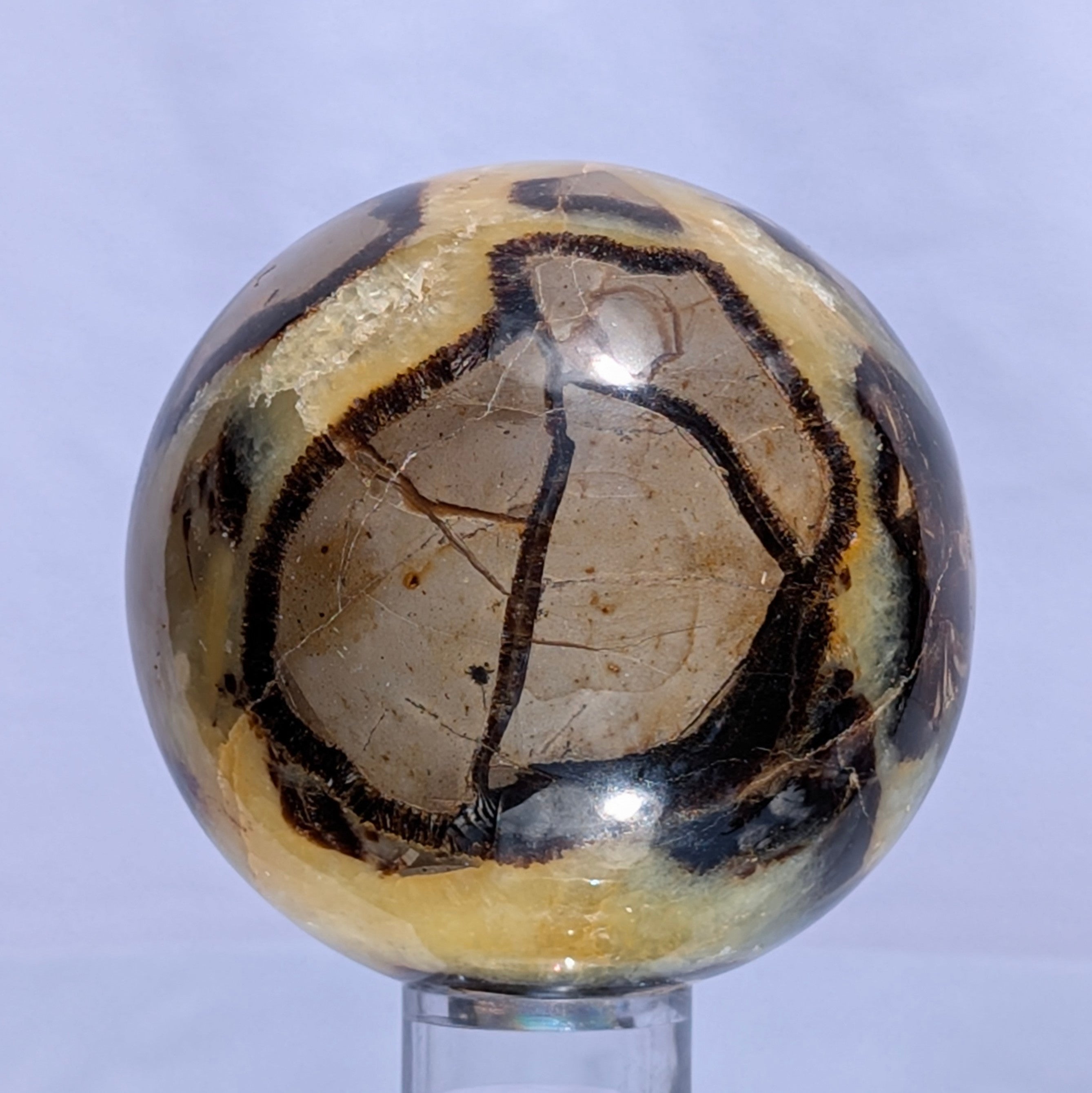 Septarian Dragon Stone Sphere A