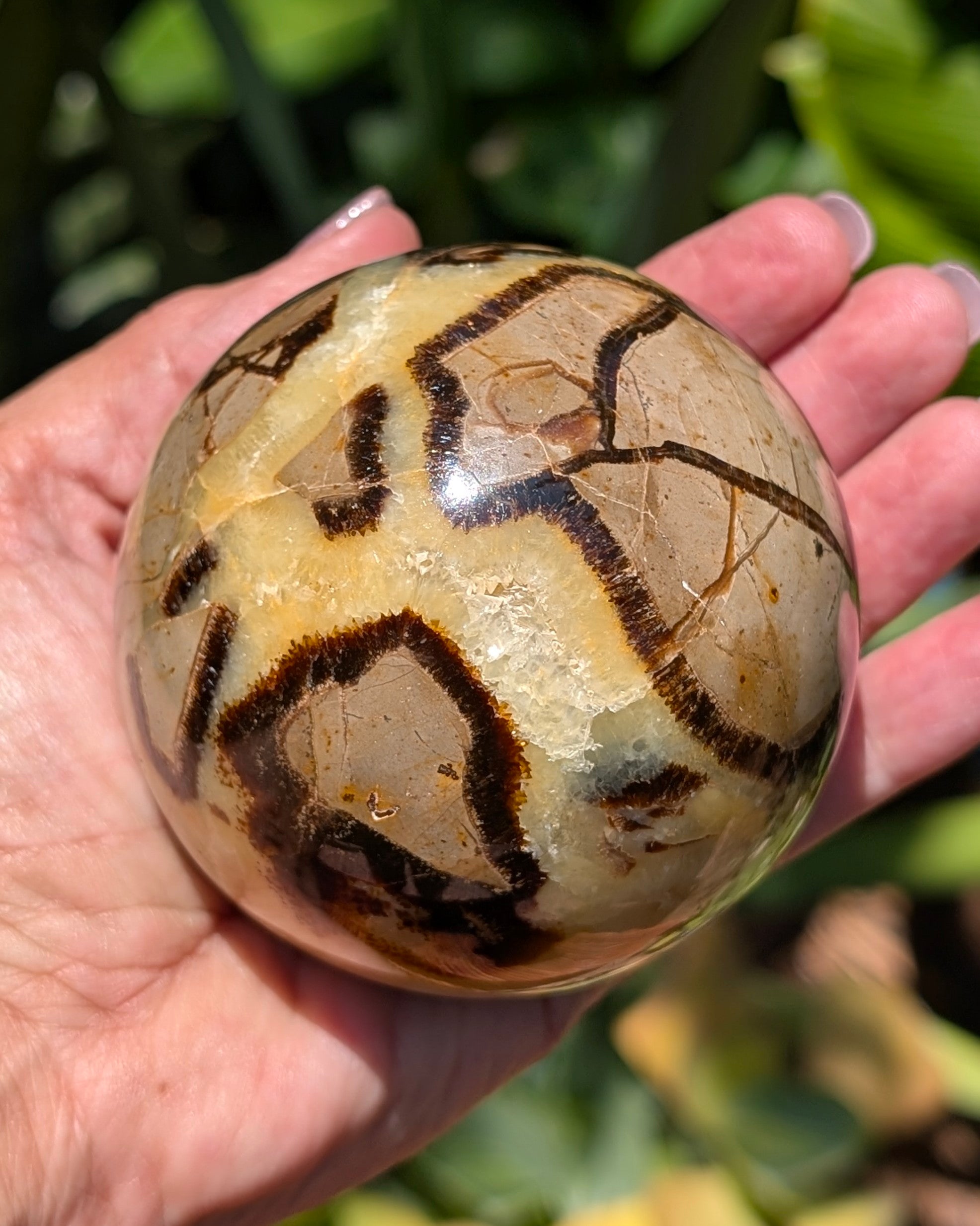 Septarian Dragon Stone Sphere A