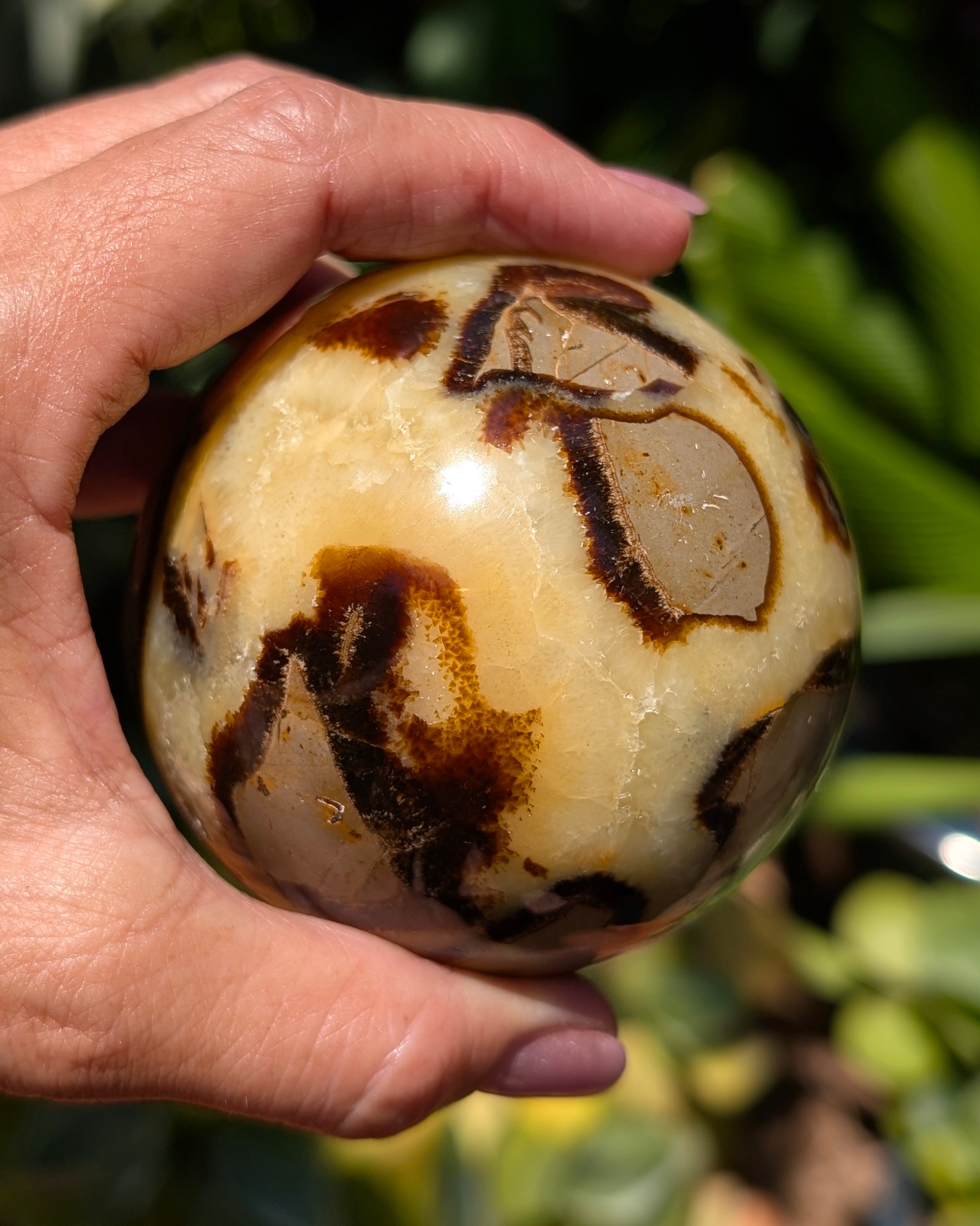 Septarian Dragon Stone Sphere A