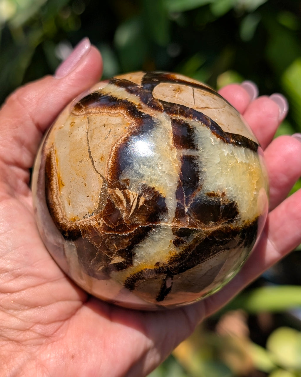 Septarian Dragon Stone Sphere A