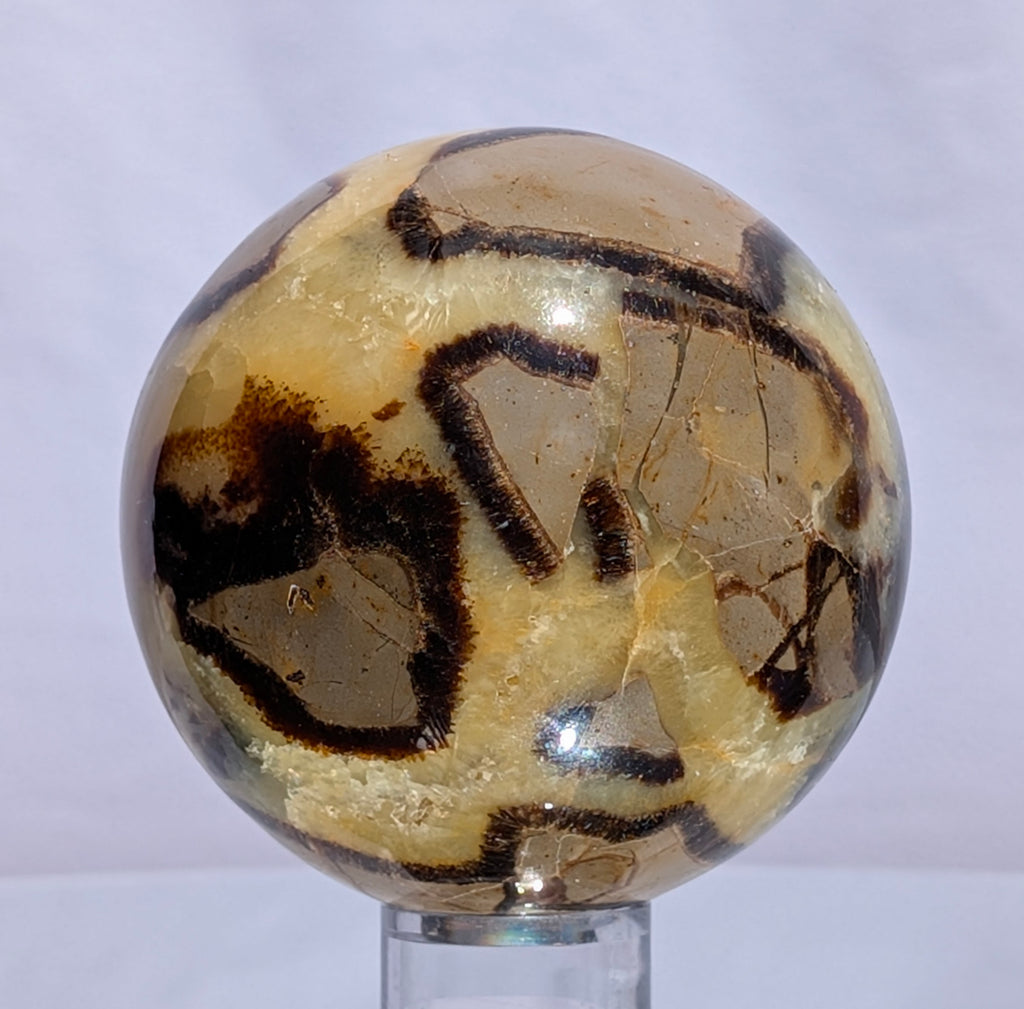 Septarian Dragon Stone Sphere A