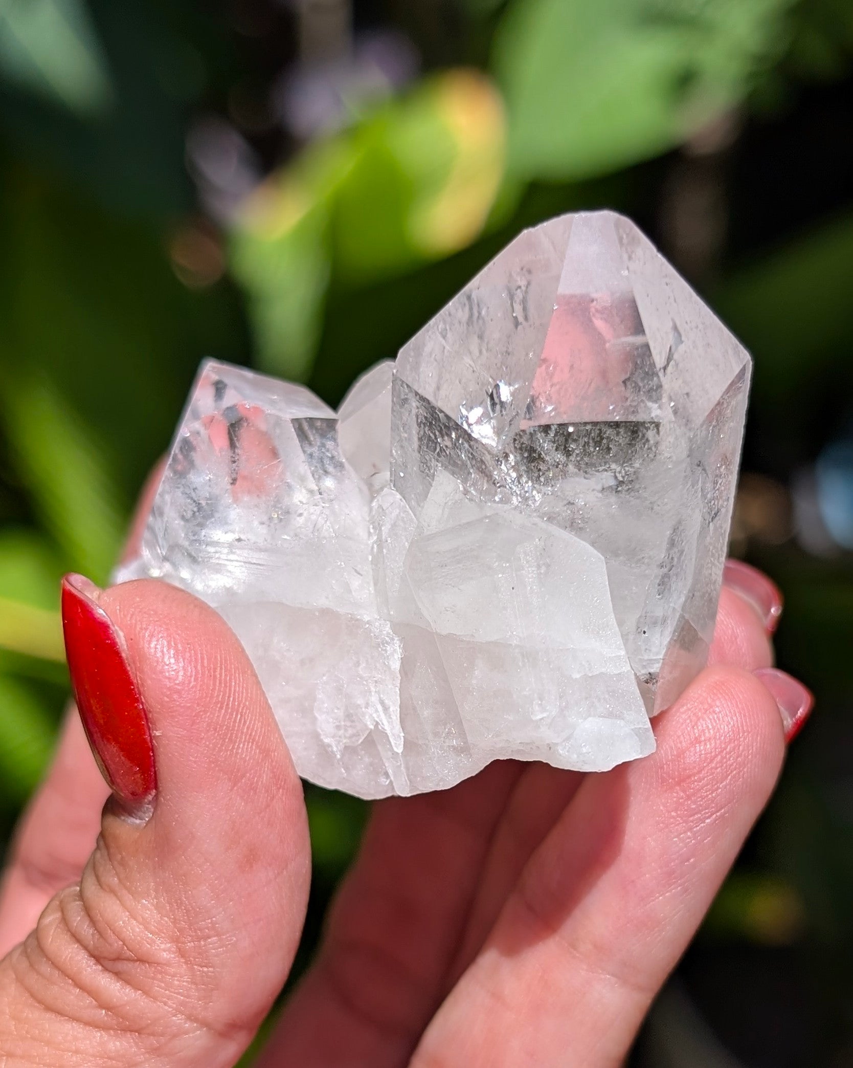 Amazing Clear Quartz Cluster - Opt. D