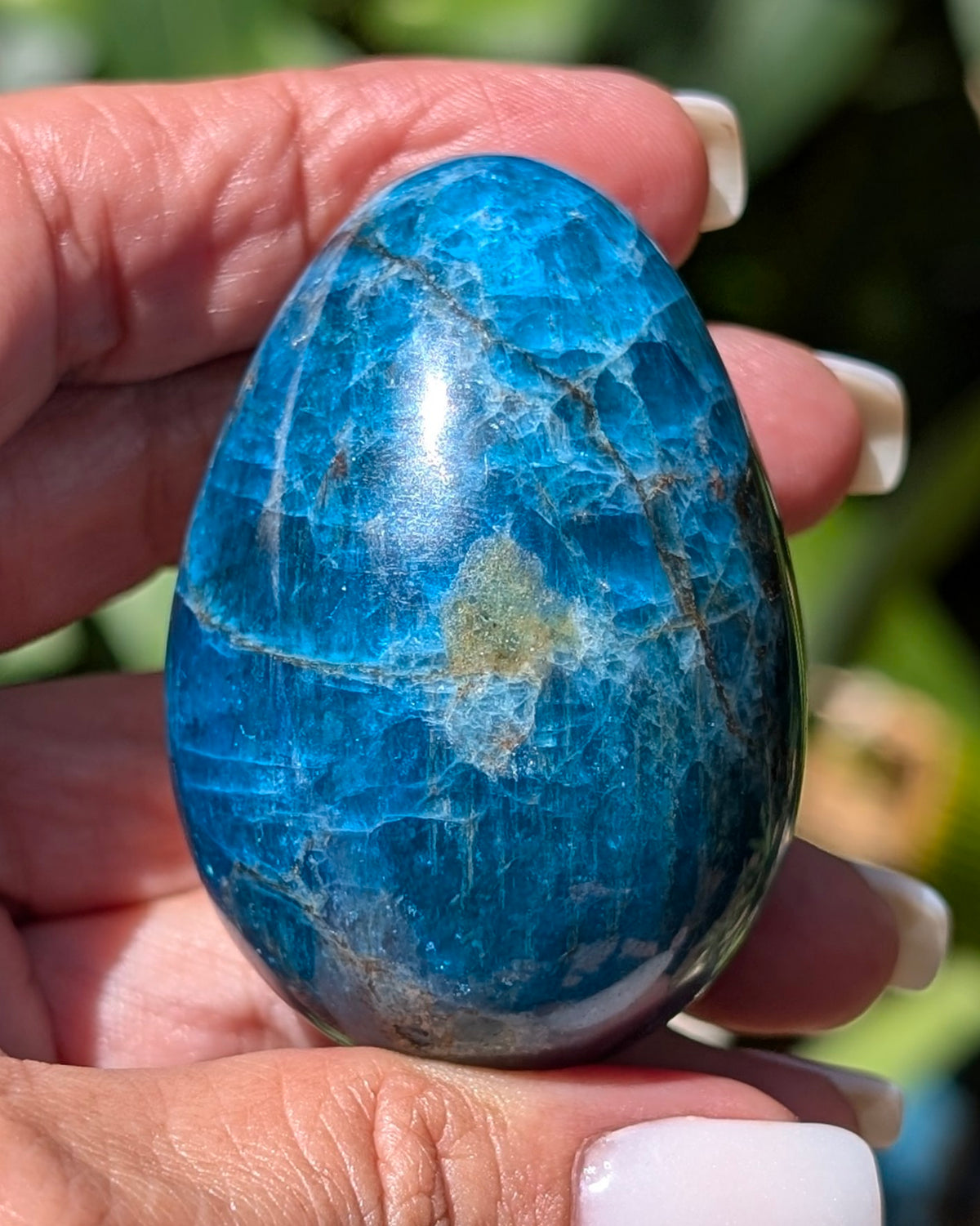 Apatite Egg - Opt. I