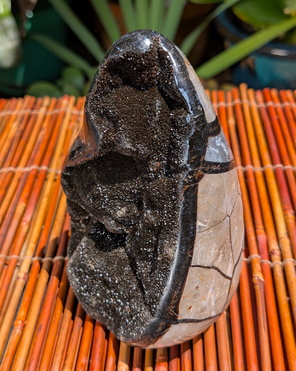 Septarian Dragon Egg B