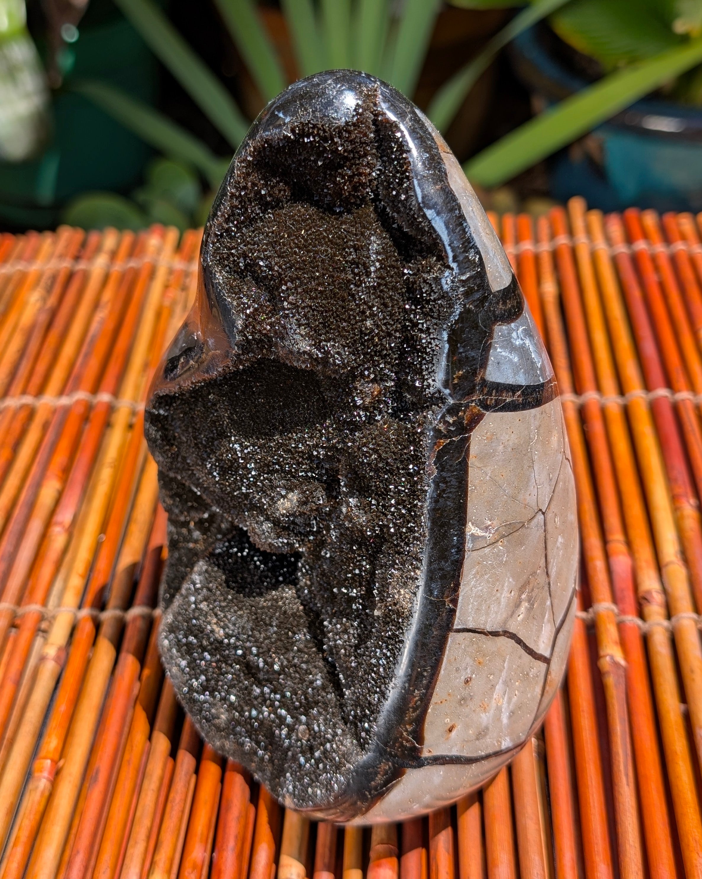 Septarian Dragon Egg B
