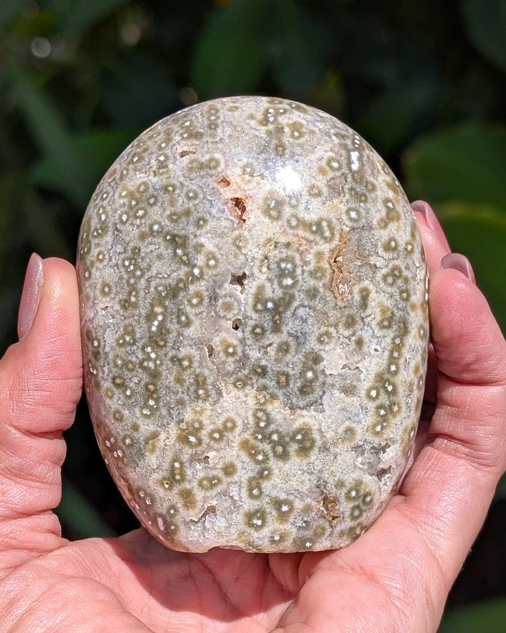 Ocean Jasper C