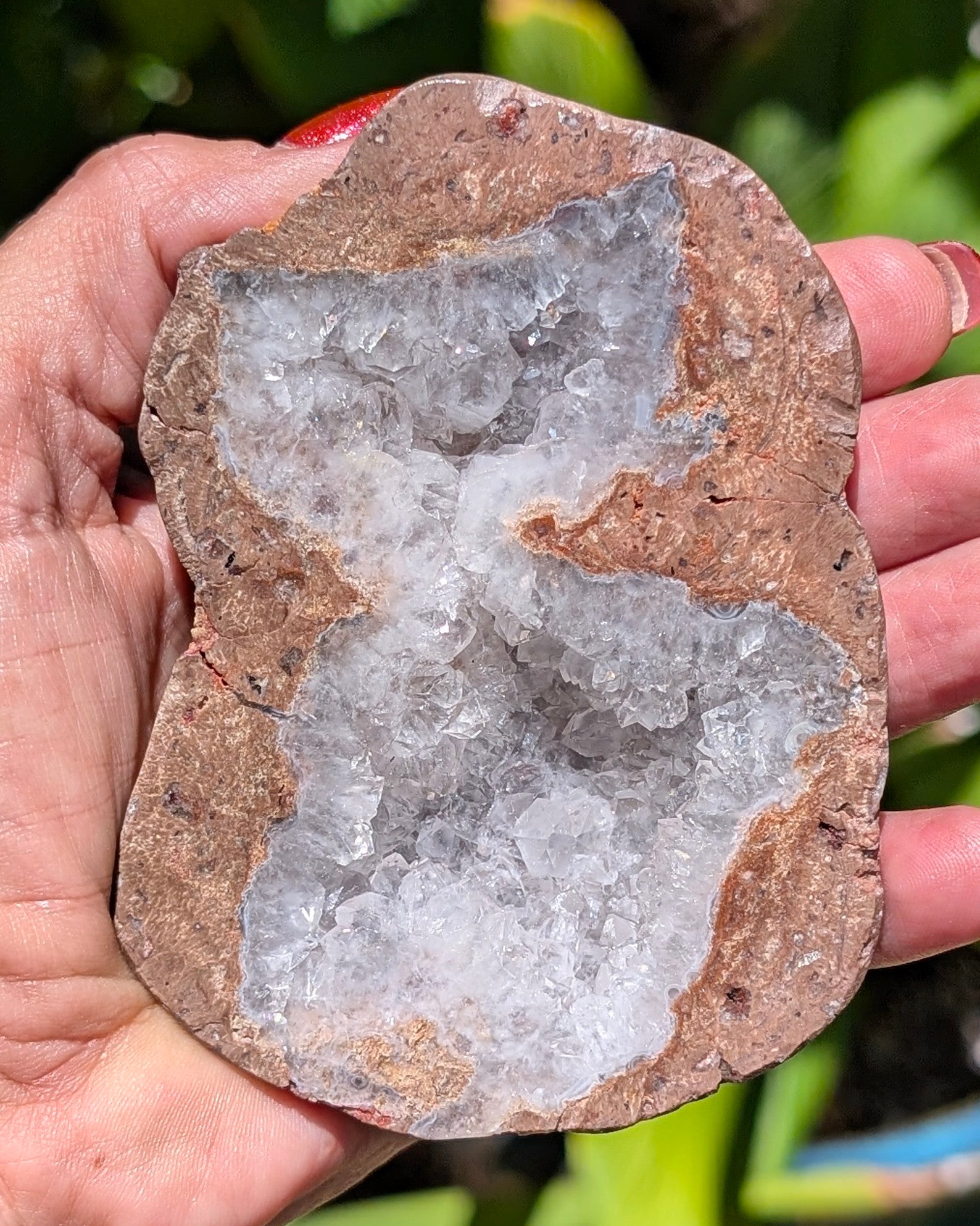 Fluorescent Thunderegg Geode Opt. A