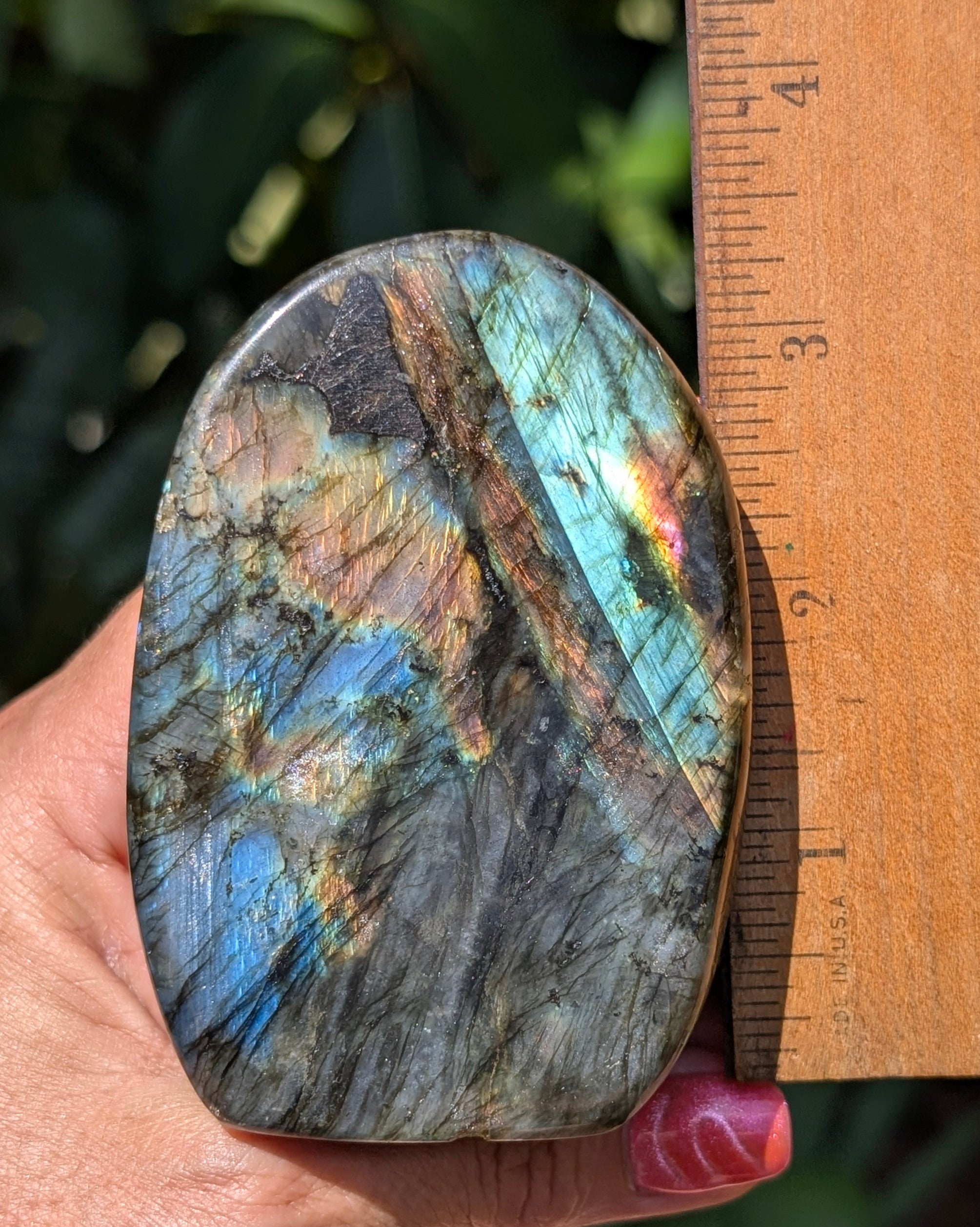Spectrolite Labradorite Freeform - Opt. G