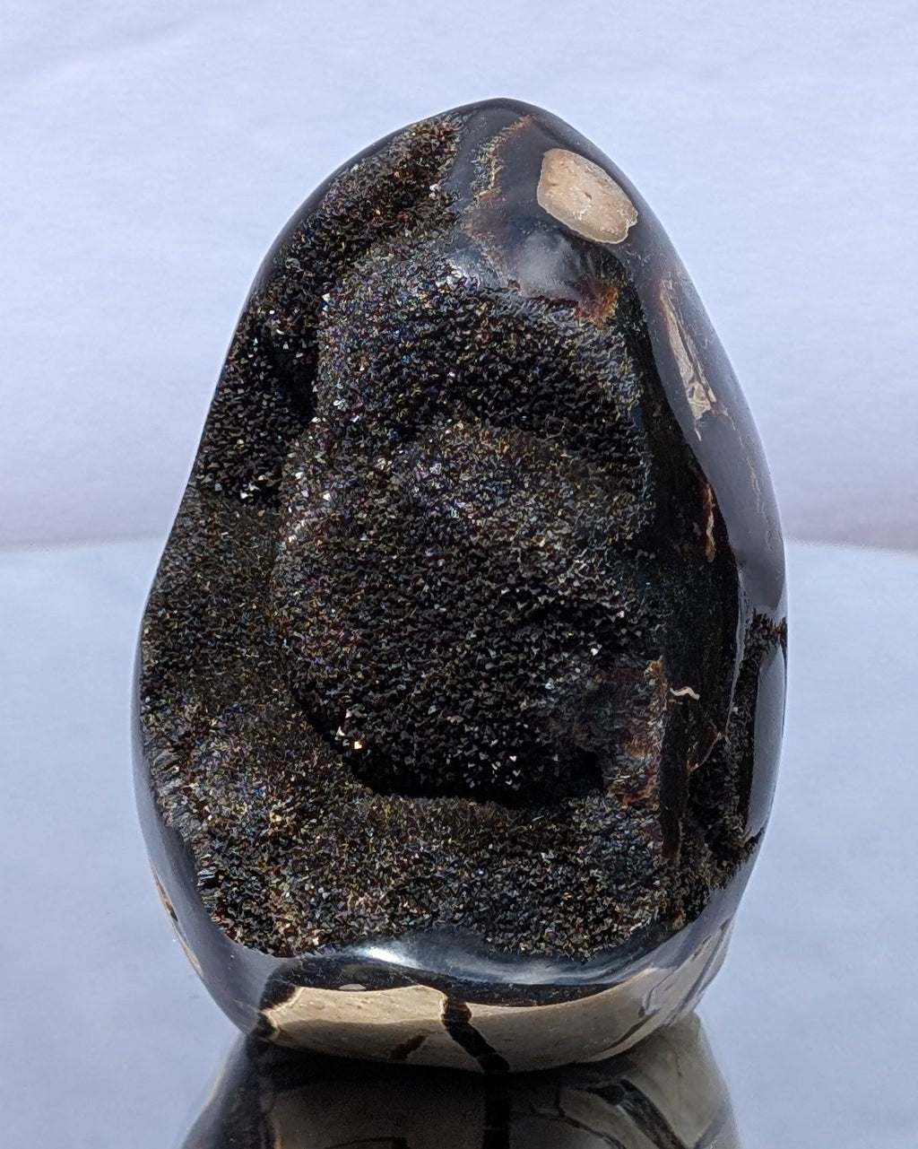 Septarian Dragon Egg D