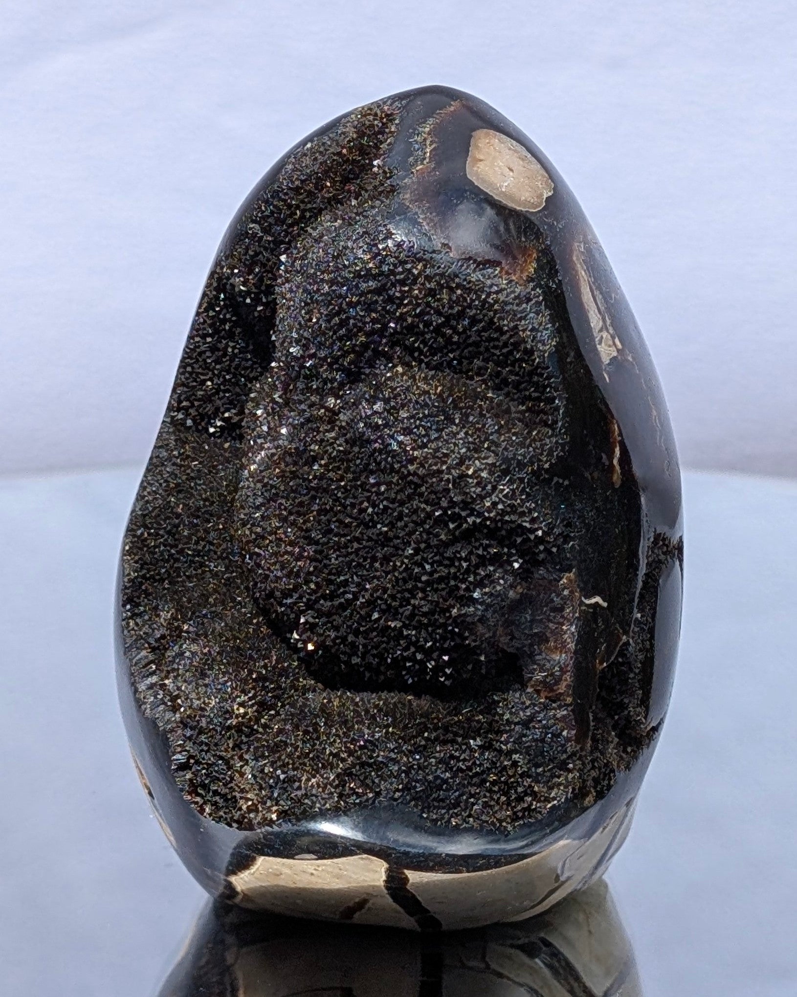 Septarian Dragon Egg D