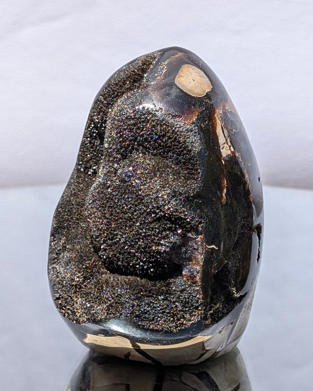 Septarian Dragon Egg D